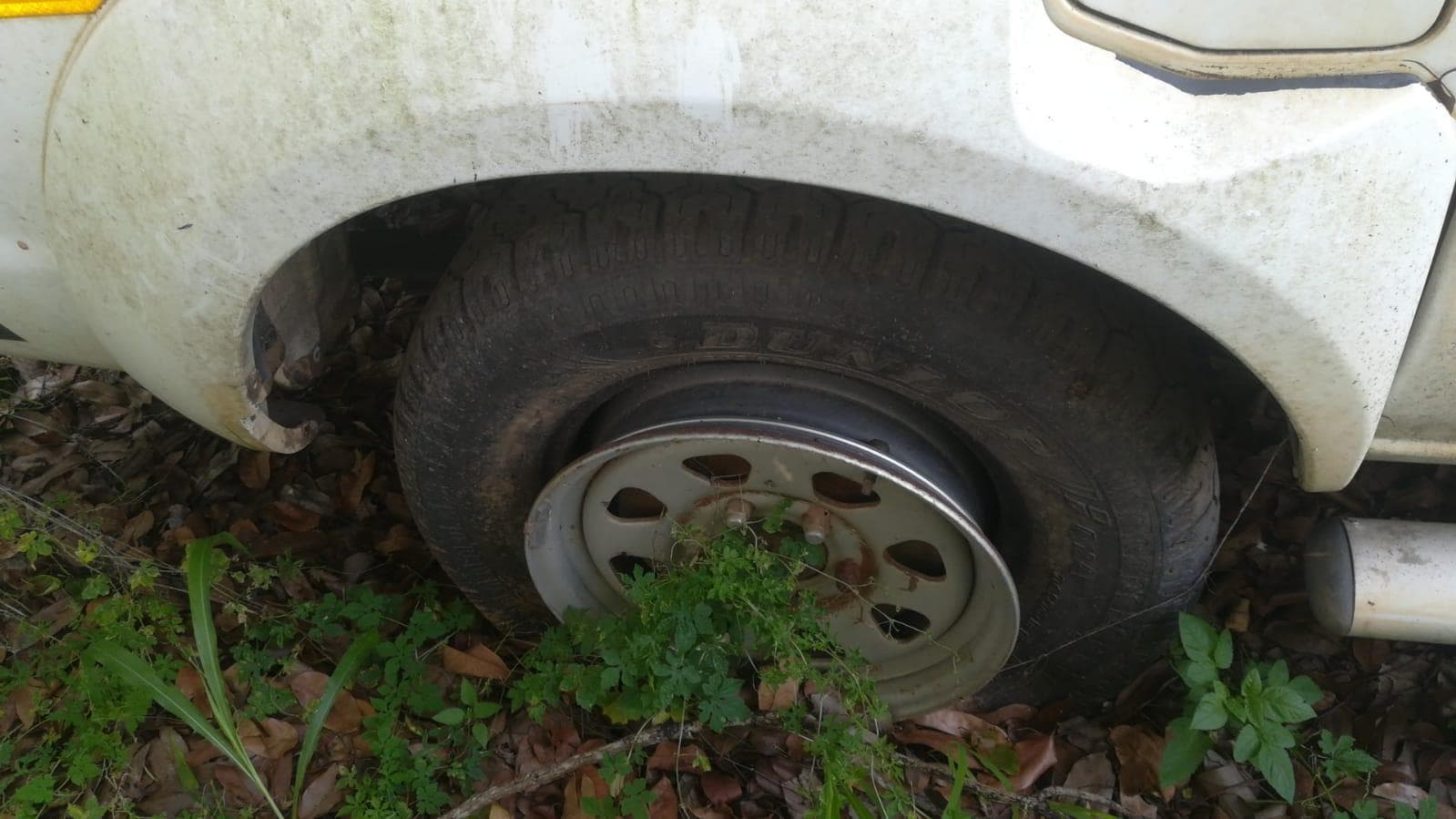 Nissan Hardbody — imagen 5