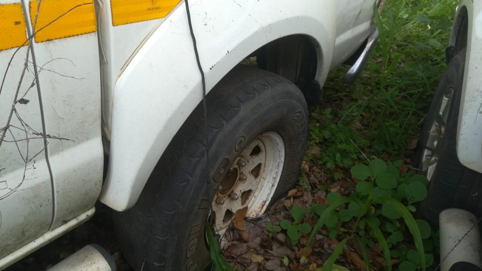 Nissan Hardbody — imagen 7