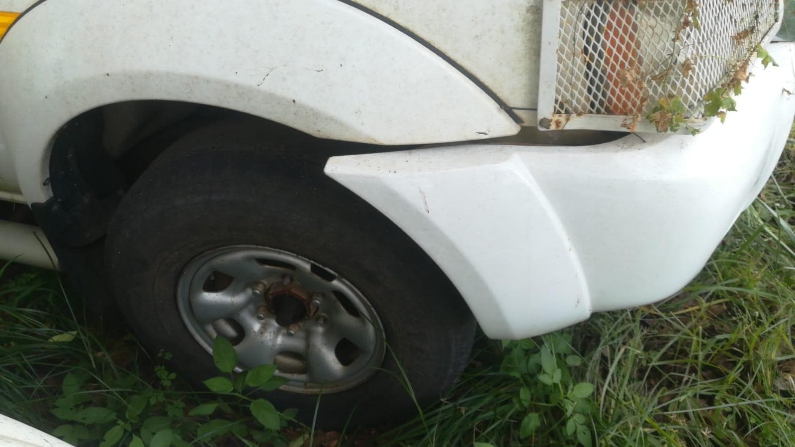 Nissan Hardbody — imagen 6