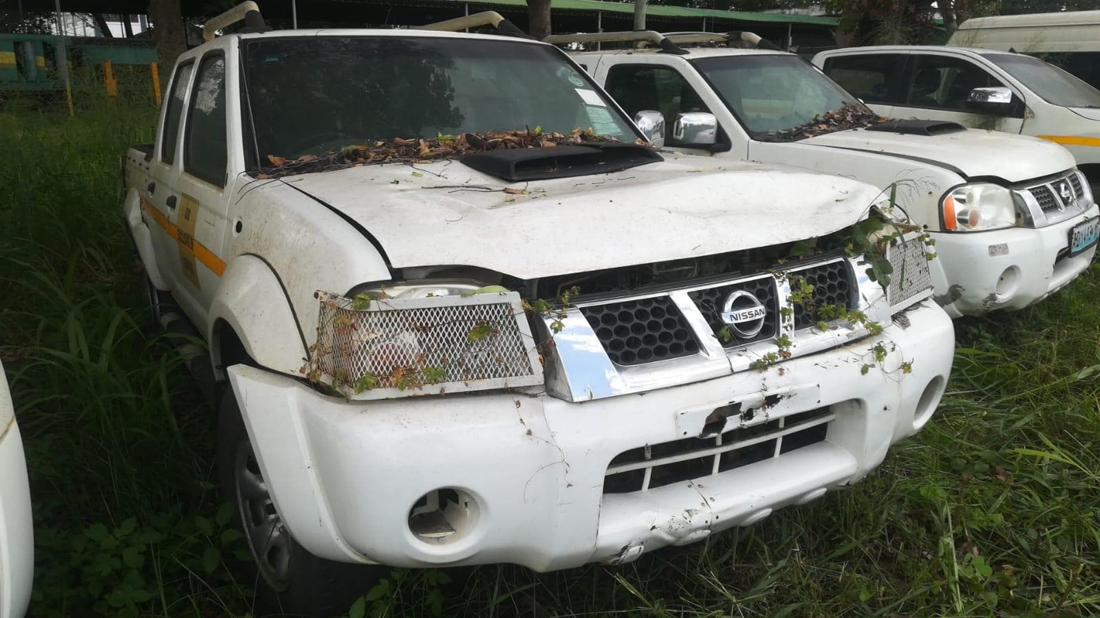 Nissan Hardbody — imagen 2