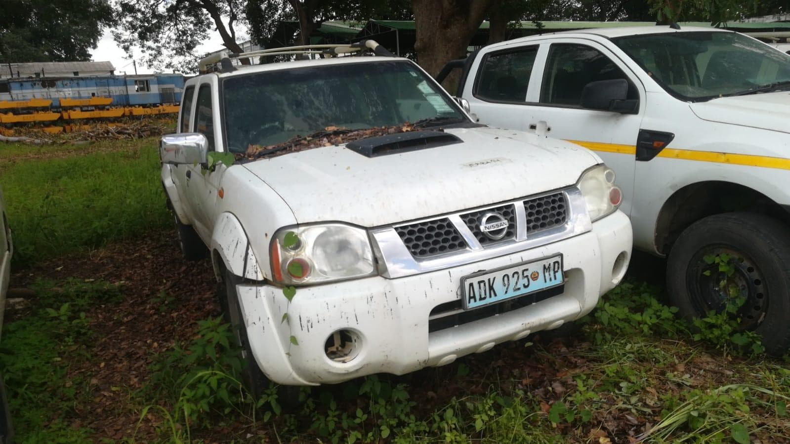 Nissan Hardbody — imagen 2