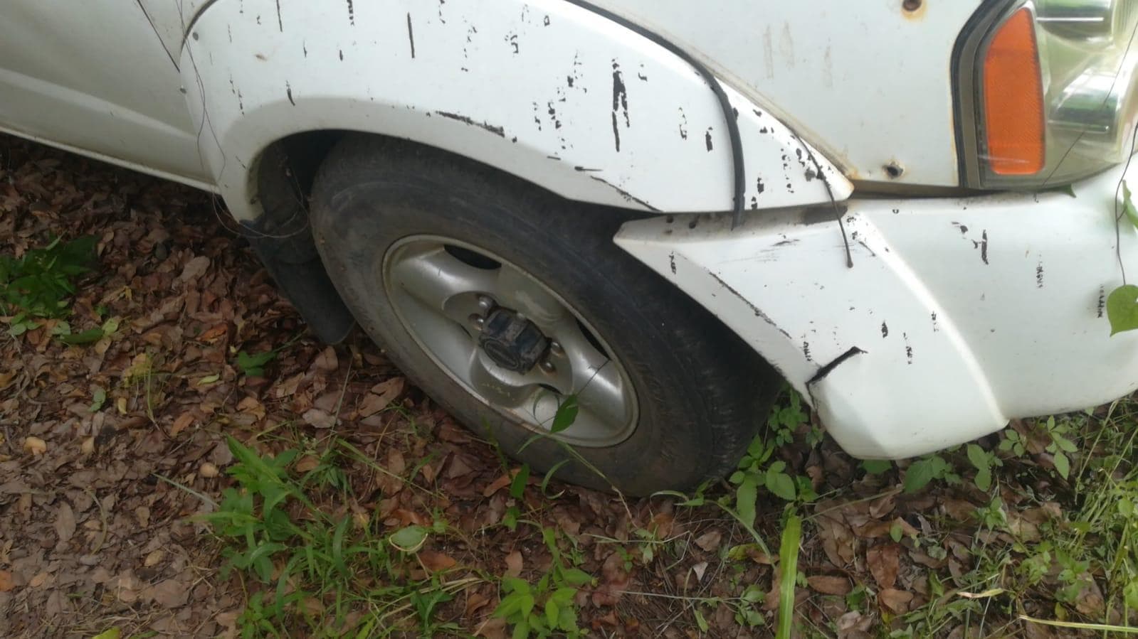 Nissan Hardbody — imagen 3