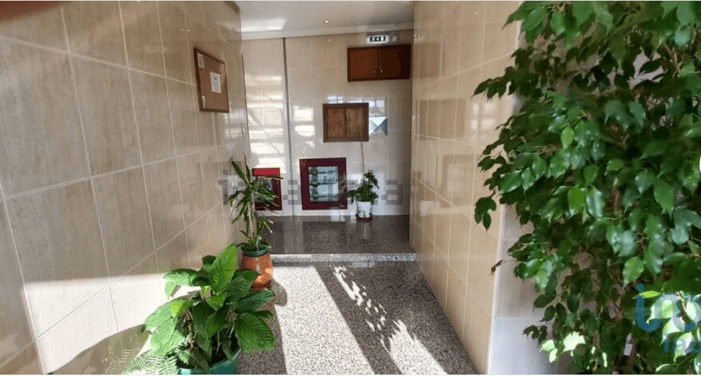 Terreno (1) — imagen 20