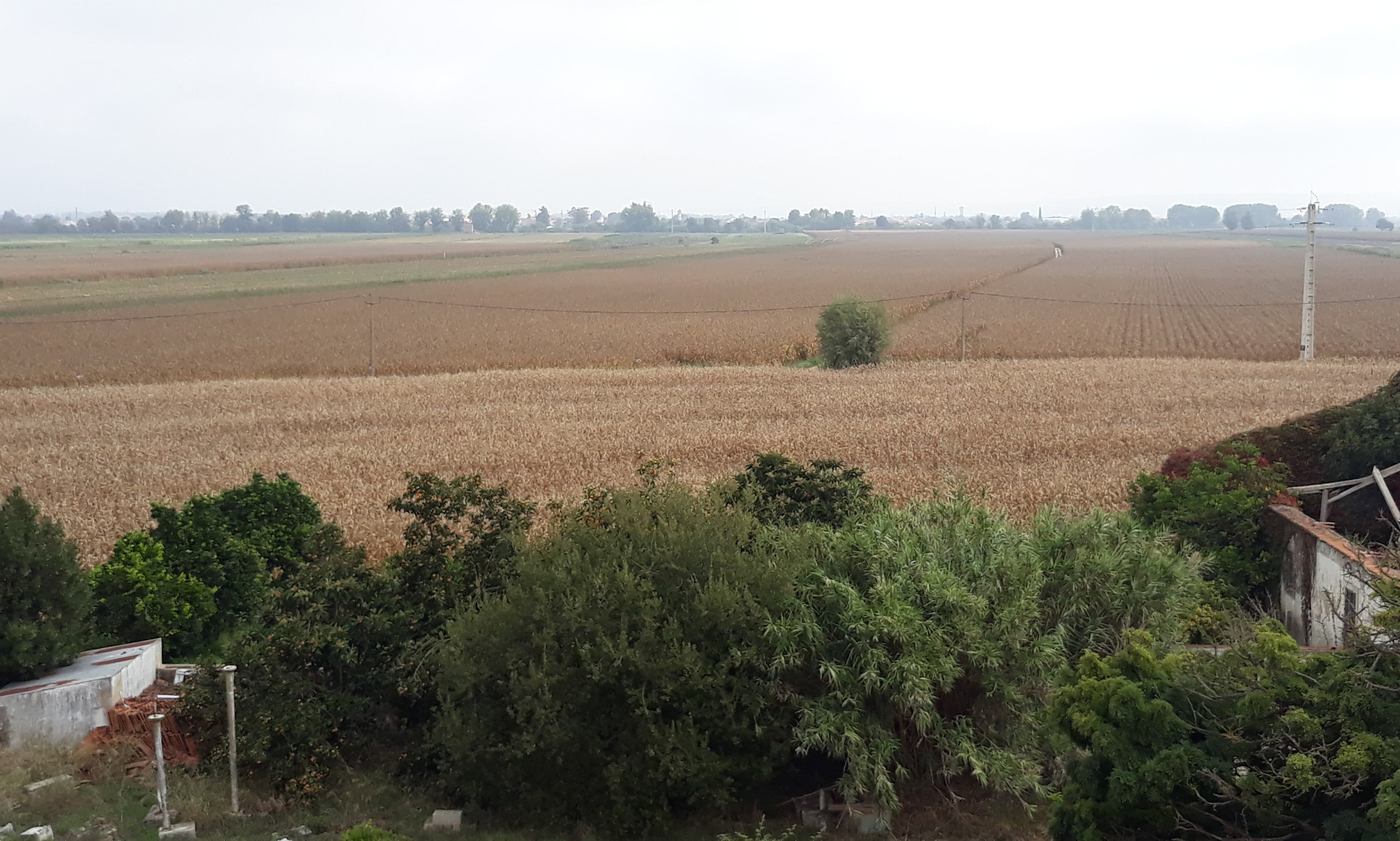 Moradia V14 · Santarém — imagem 10