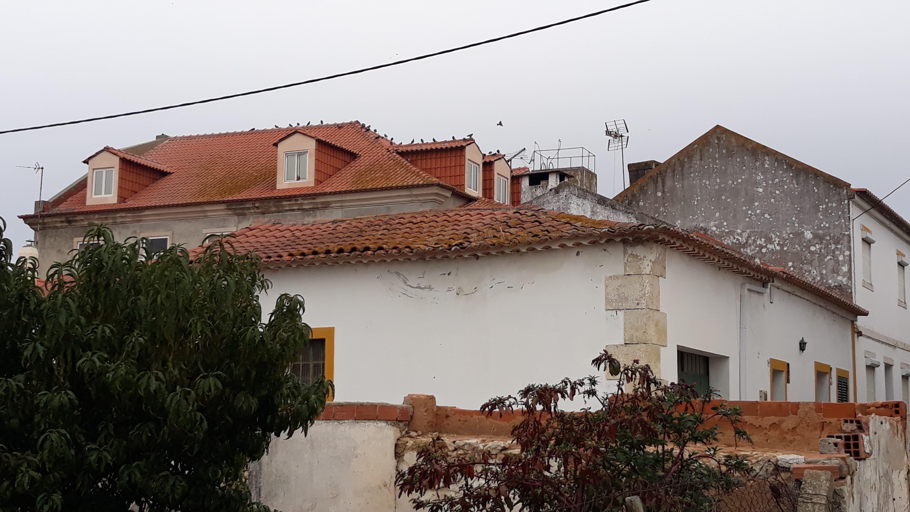 Moradia V14 · Santarém — imagem 4