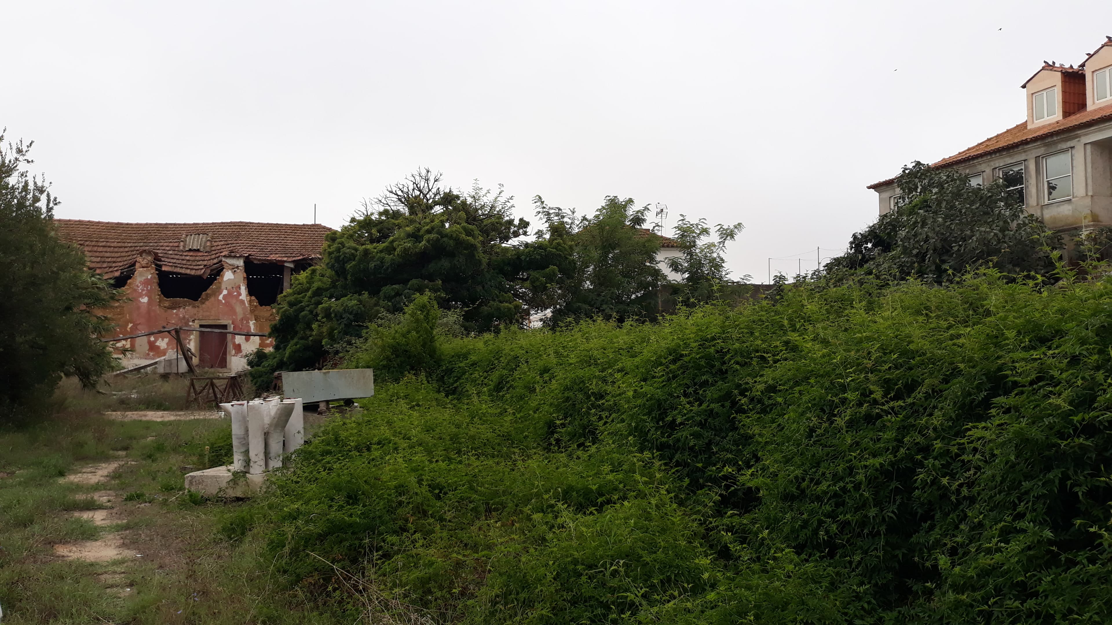 Moradia V14 · Santarém — imagem 7