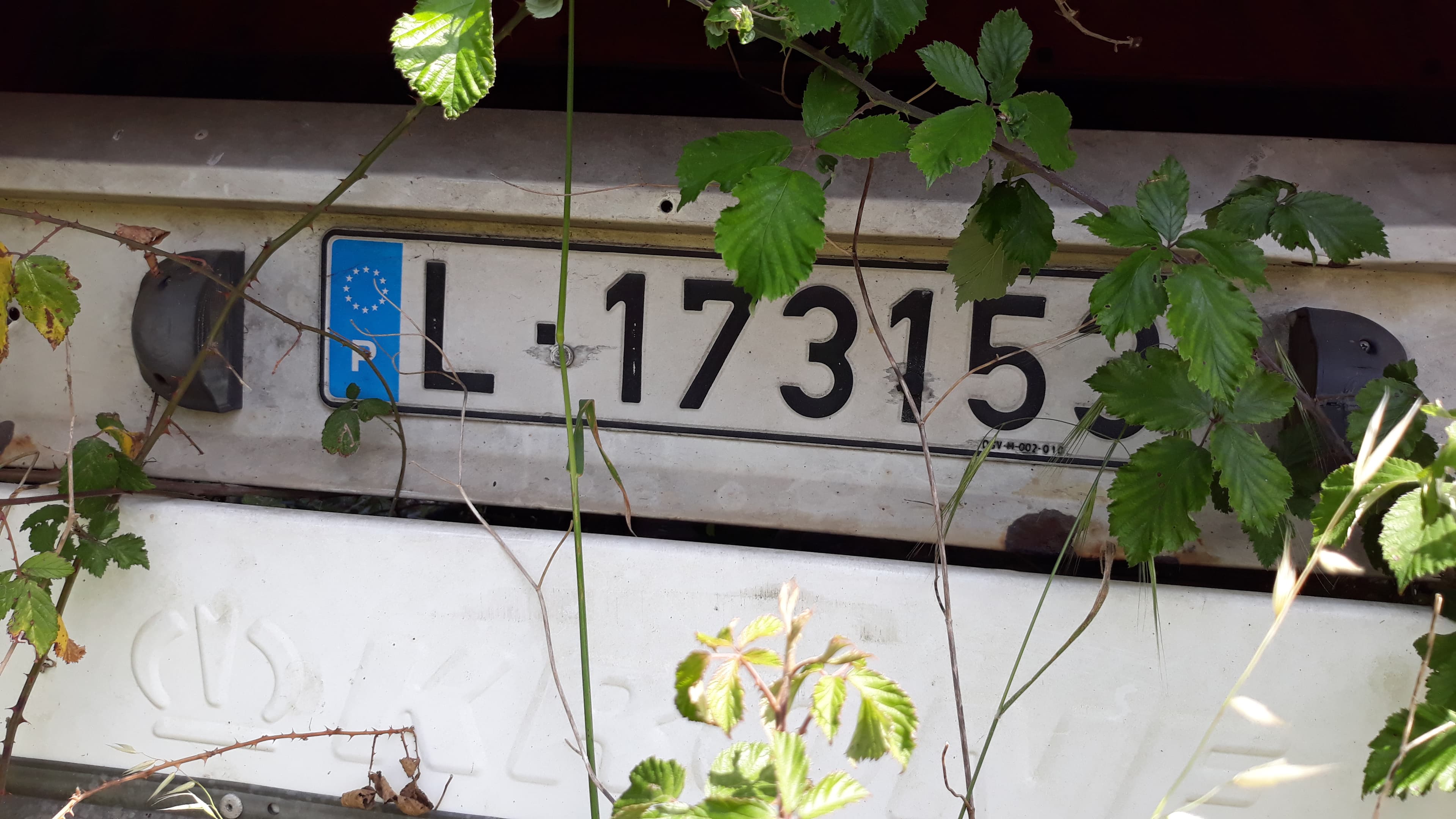 Galera Krone — imagem 7
