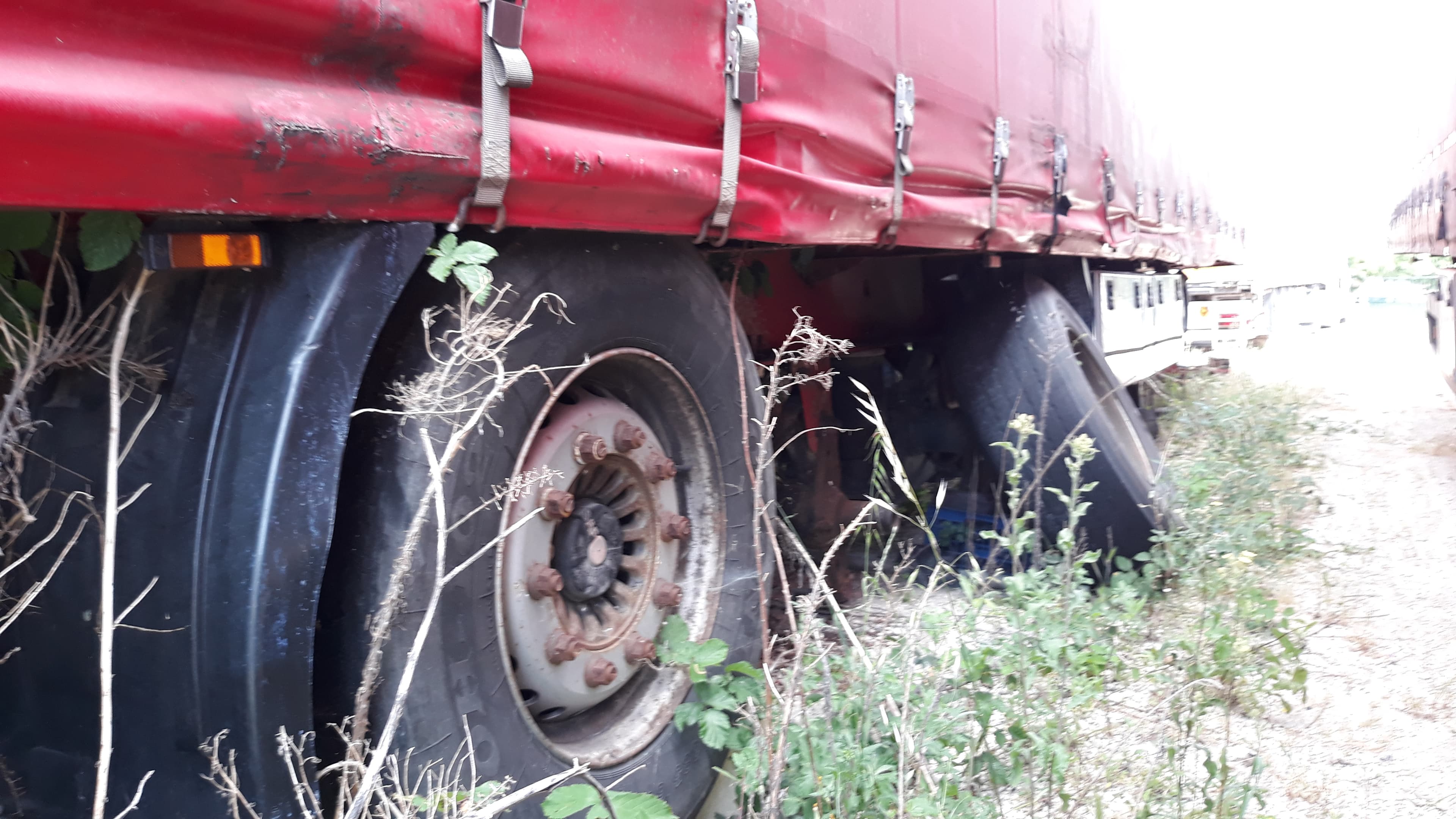Galera Krone — imagem 4