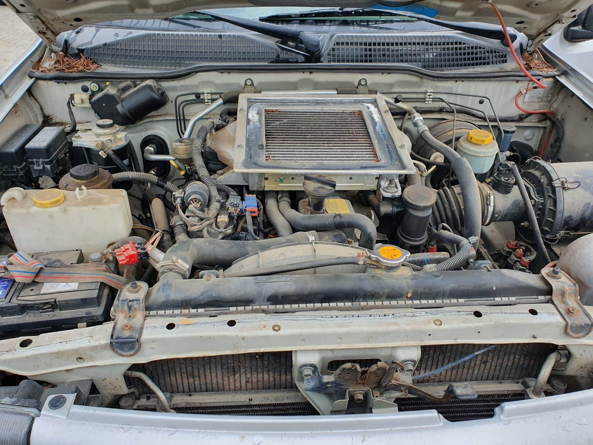 Nissan Terrano · Ano 2003 — imagem 10