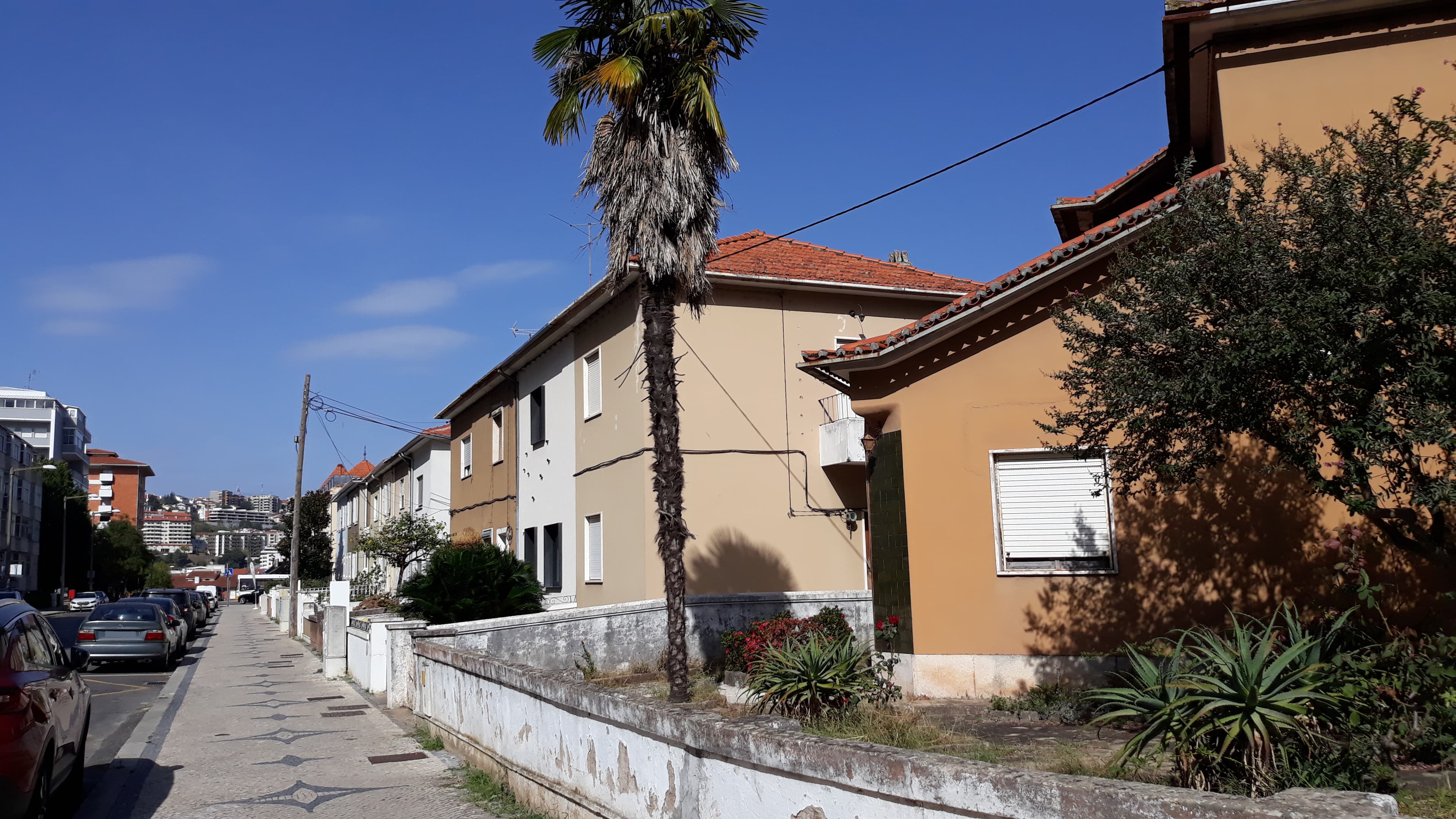 Quinhão Hereditário · Coimbra — image 5