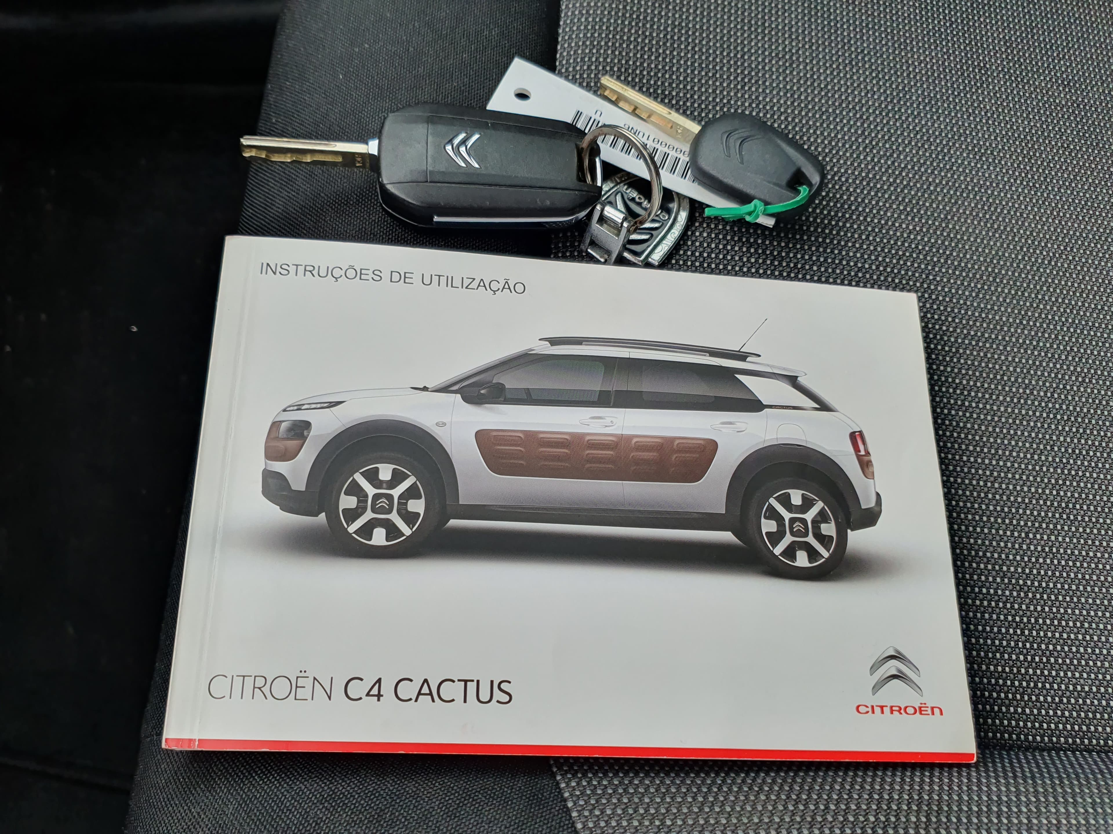 Citroën C4 Cactus · Ano 2015 — imagen 40