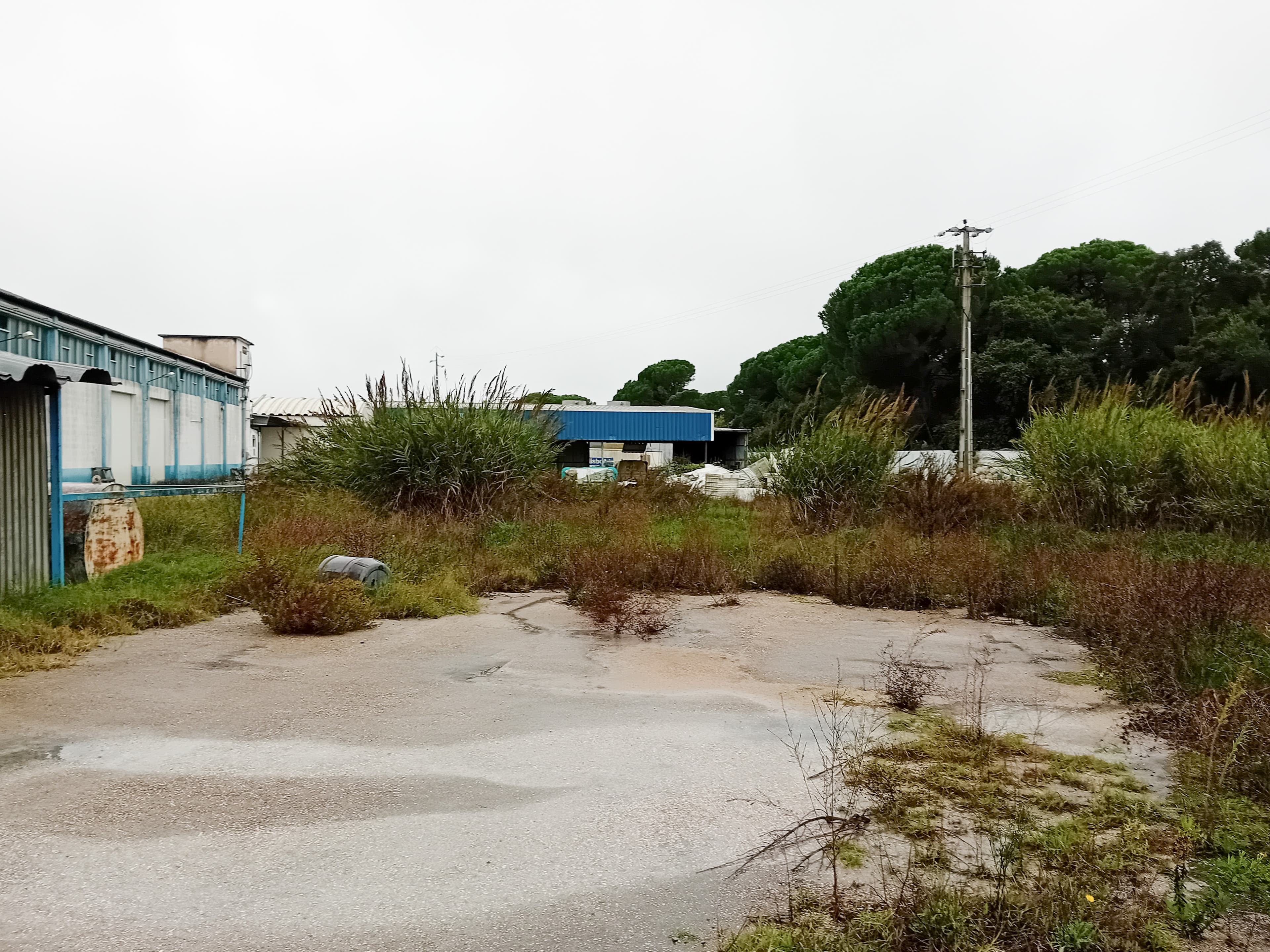 Armazém Industrial · Santarém — imagen 17