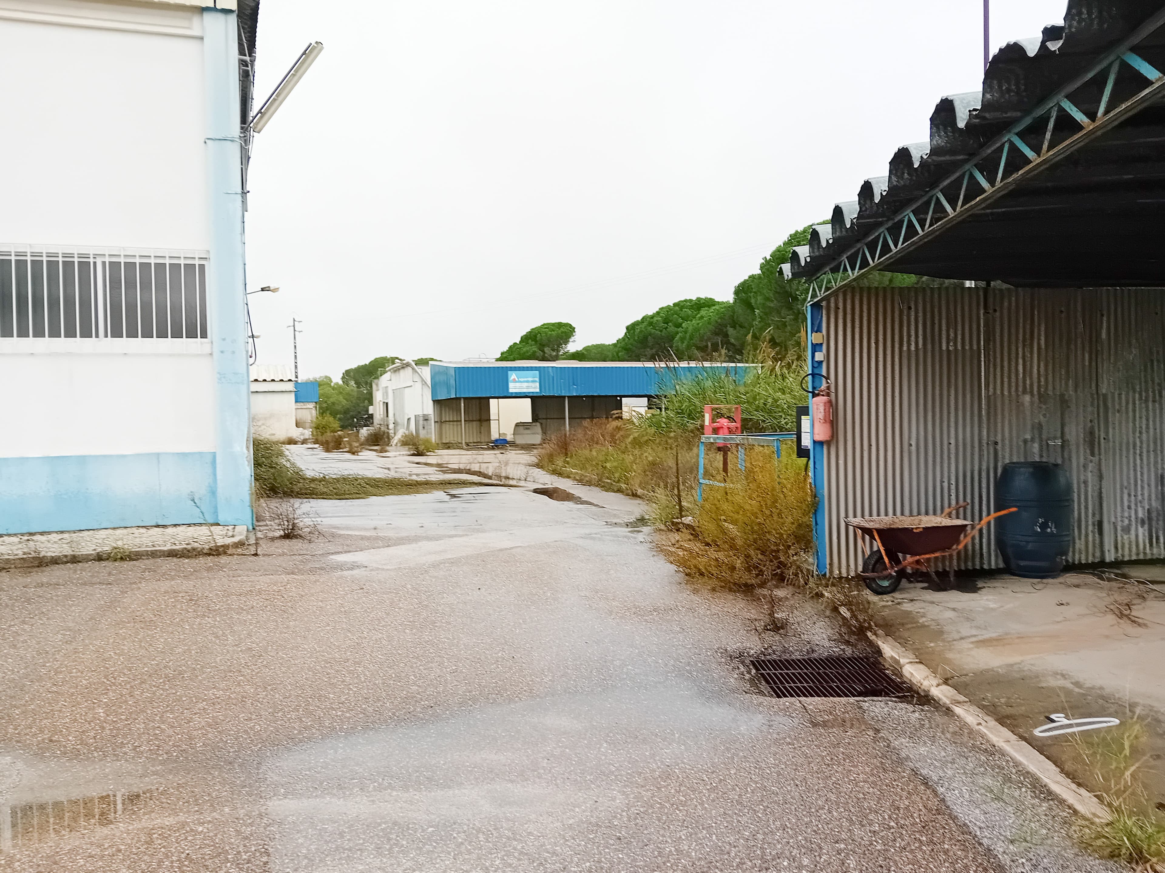 Armazém Industrial · Santarém — imagen 6