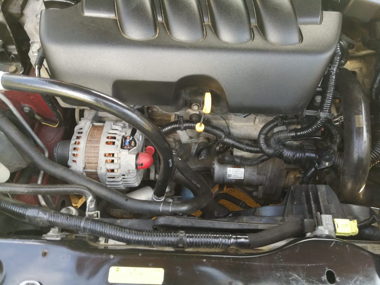 Nissan Duals — image 11