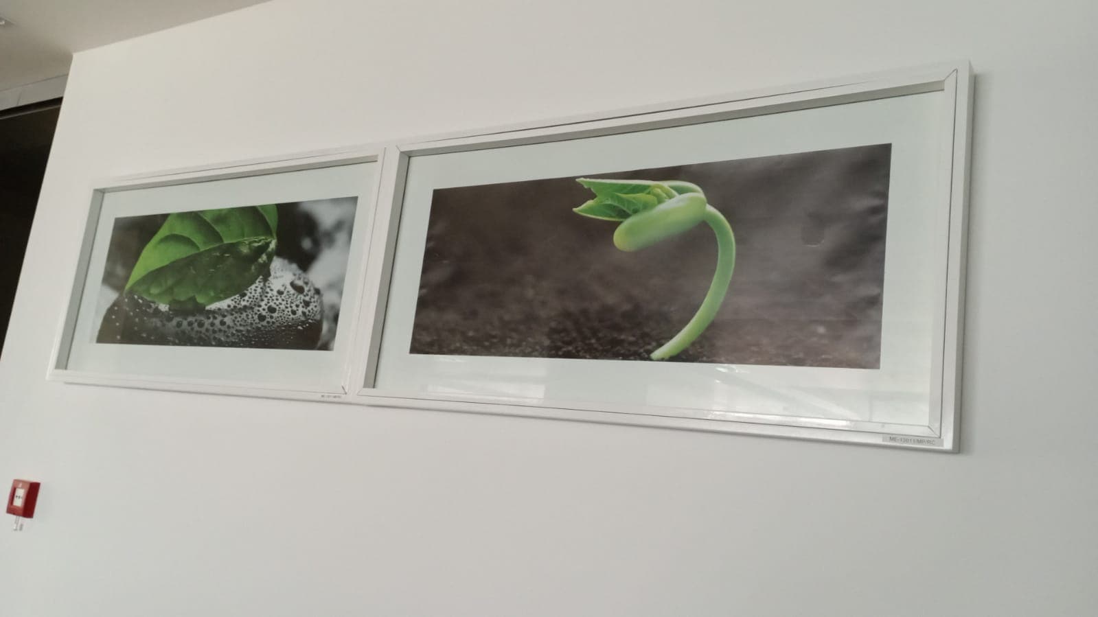 Quadros Decorativos — image 2