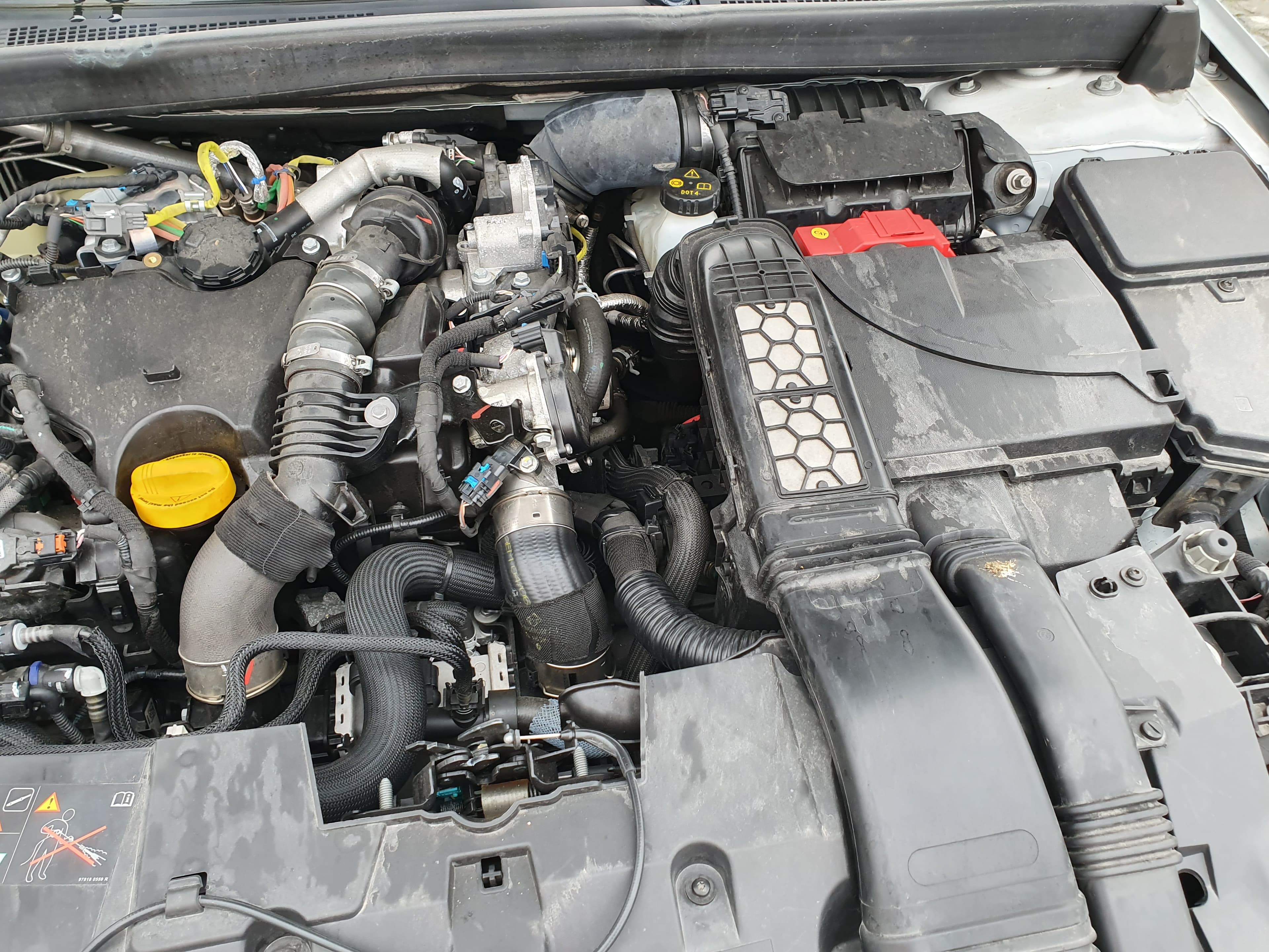 Renault Mégane · Ano 2022 — imagen 37