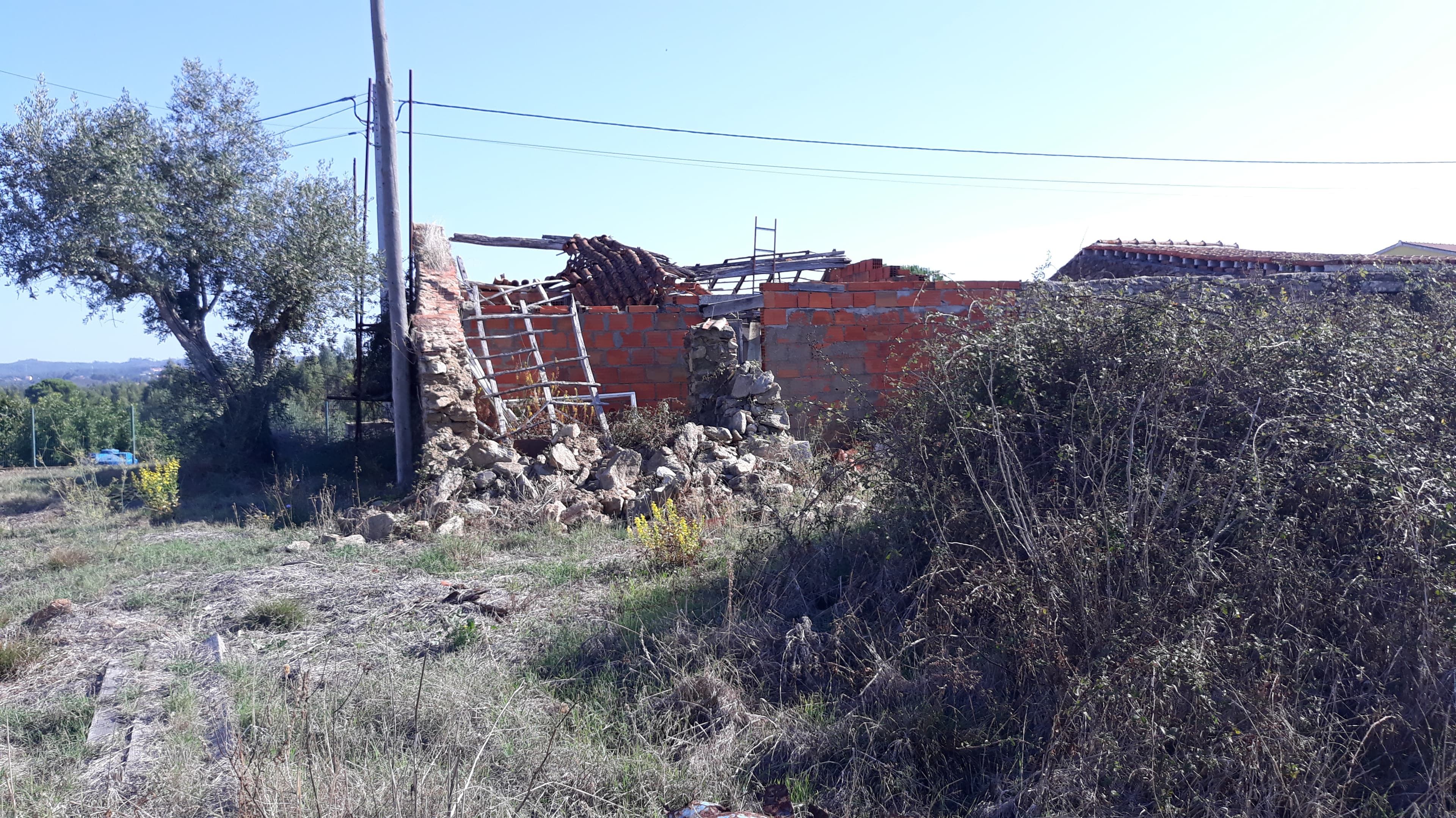 Moradia (Ruínas) + Terreno · Tomar — image 9