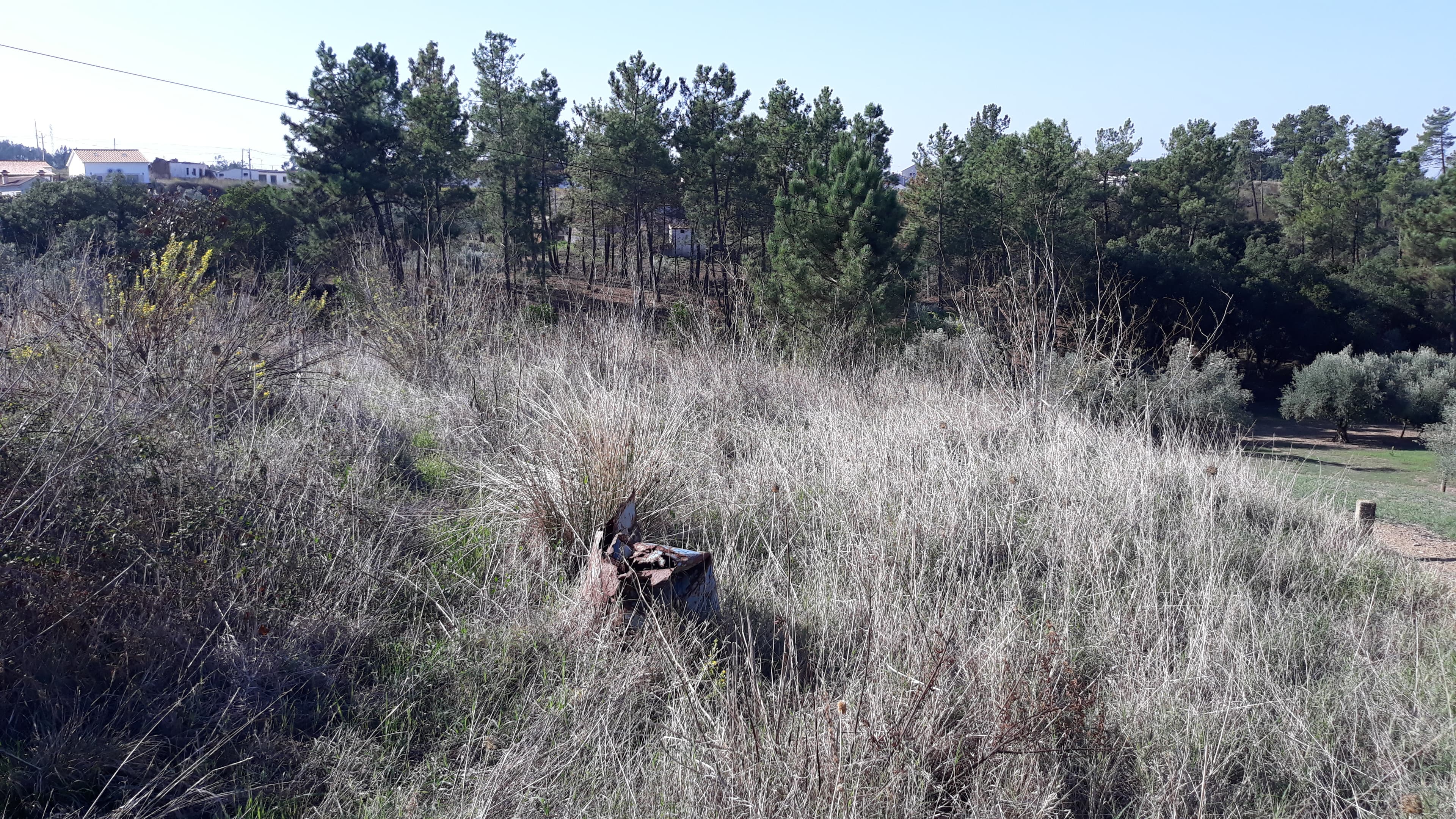 Moradia (Ruínas) + Terreno · Tomar — image 8