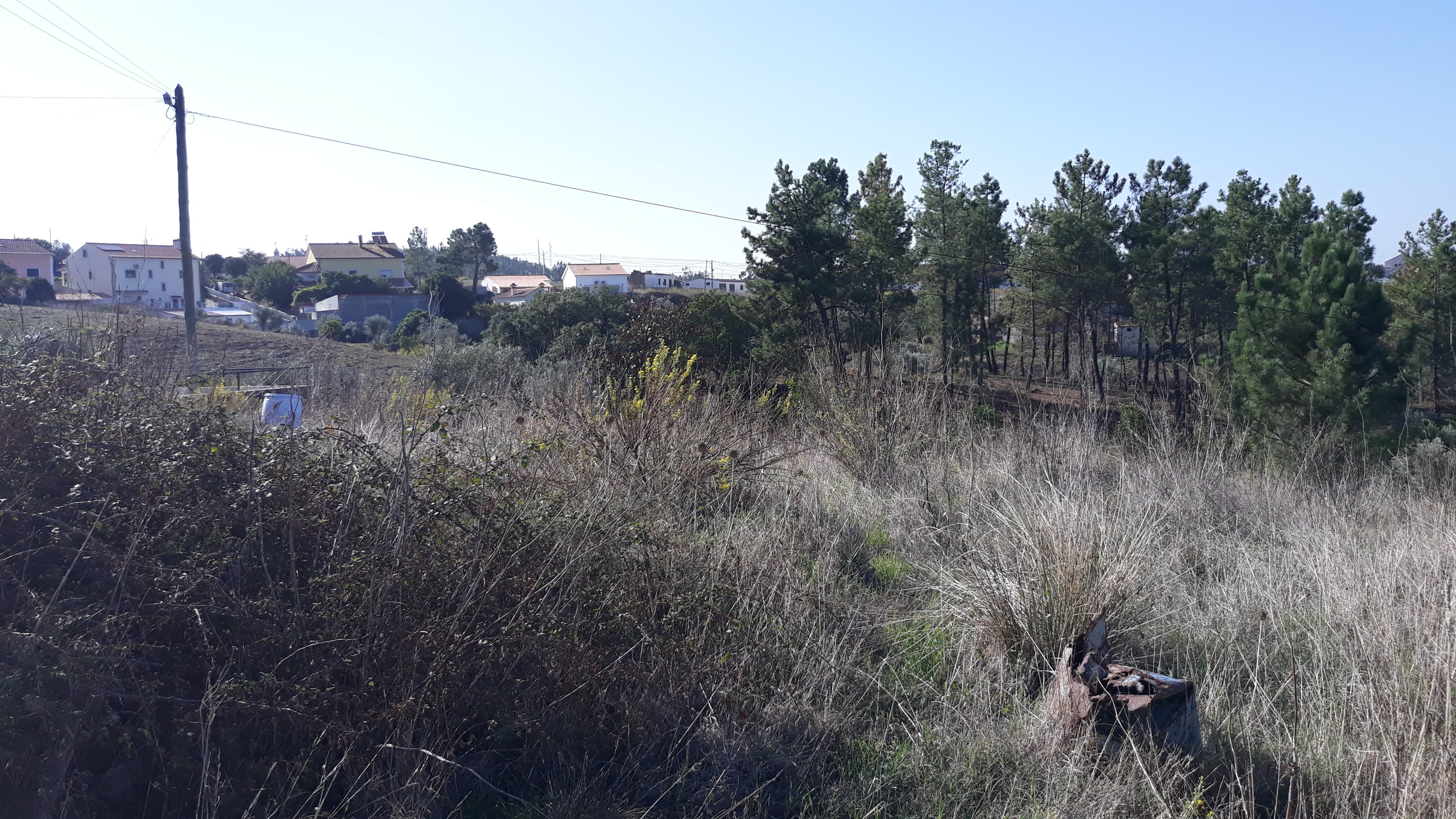 Moradia (Ruínas) + Terreno · Tomar — image 7