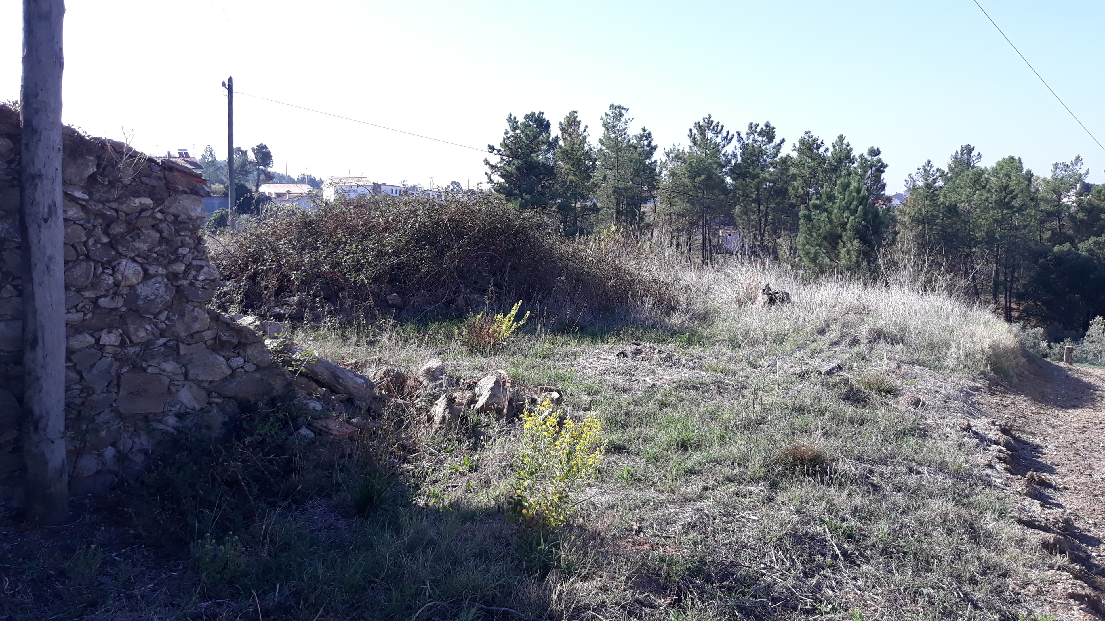 Moradia (Ruínas) + Terreno · Tomar — image 6