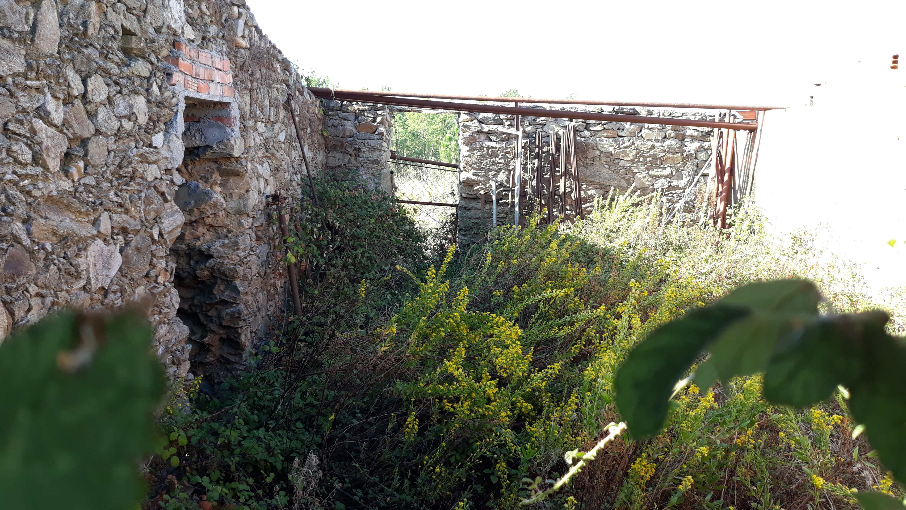 Moradia (Ruínas) + Terreno · Tomar — image 4