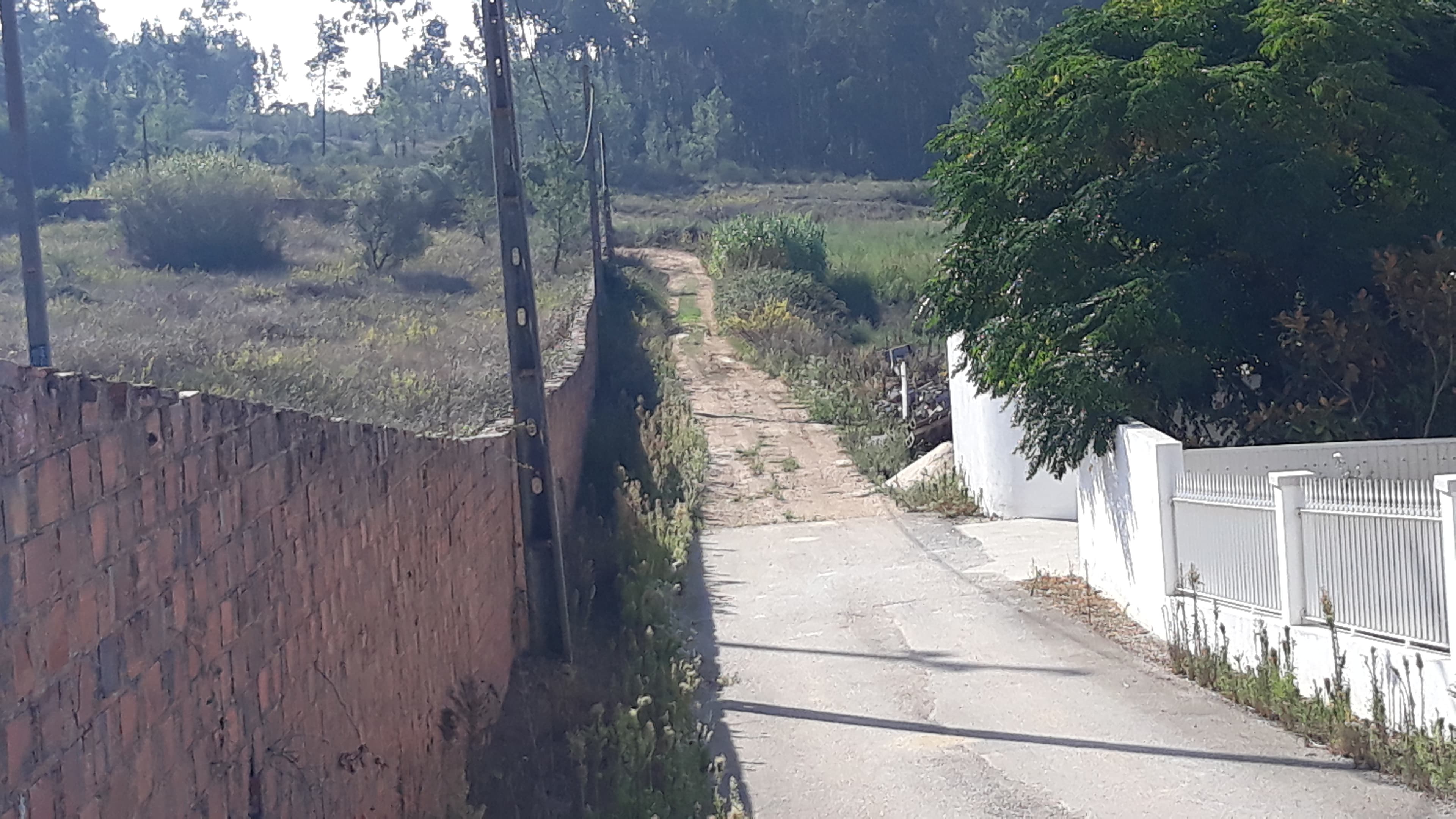 Terreno · Tomar — imagem 2