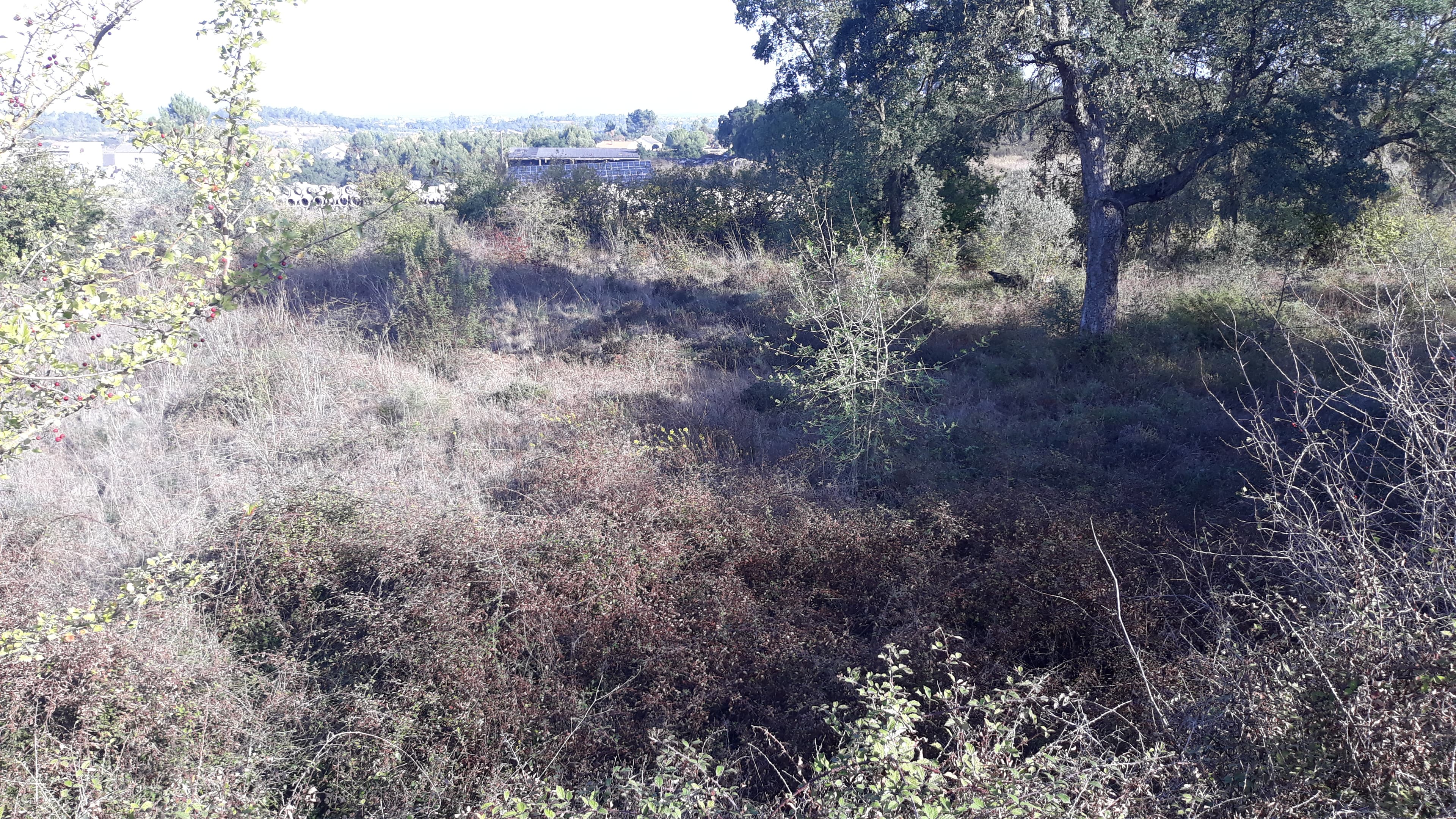 Terreno · Tomar — imagem 3