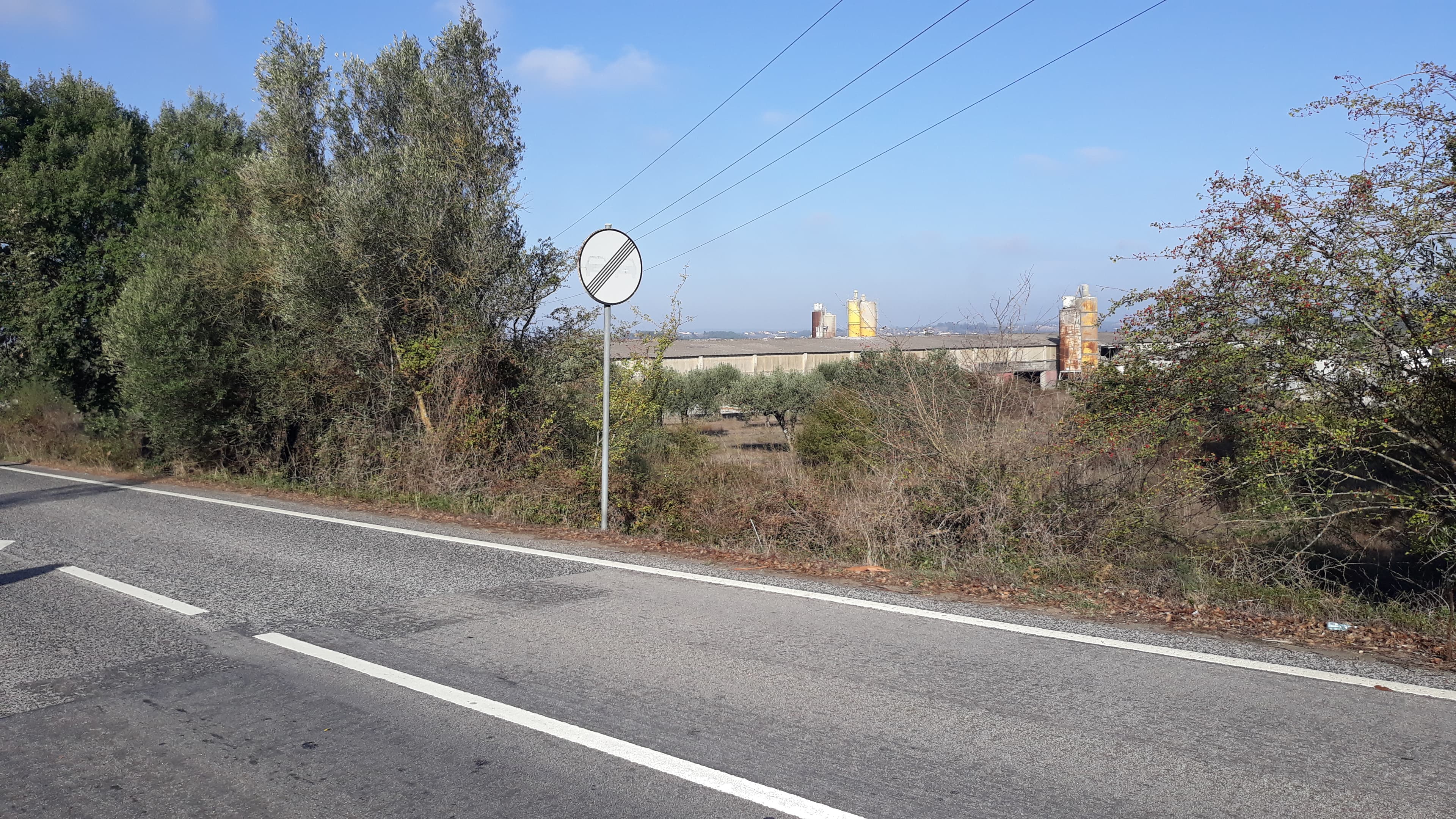 Terreno · Tomar — imagem 4