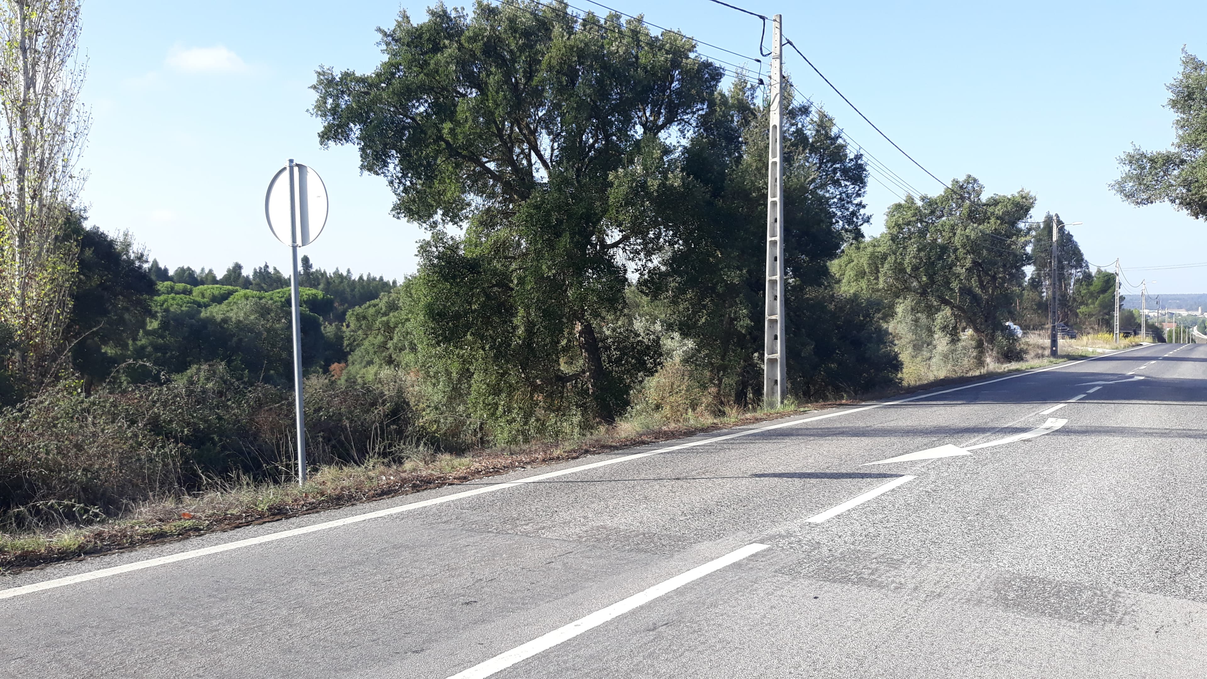 Terreno · Tomar — imagem 3