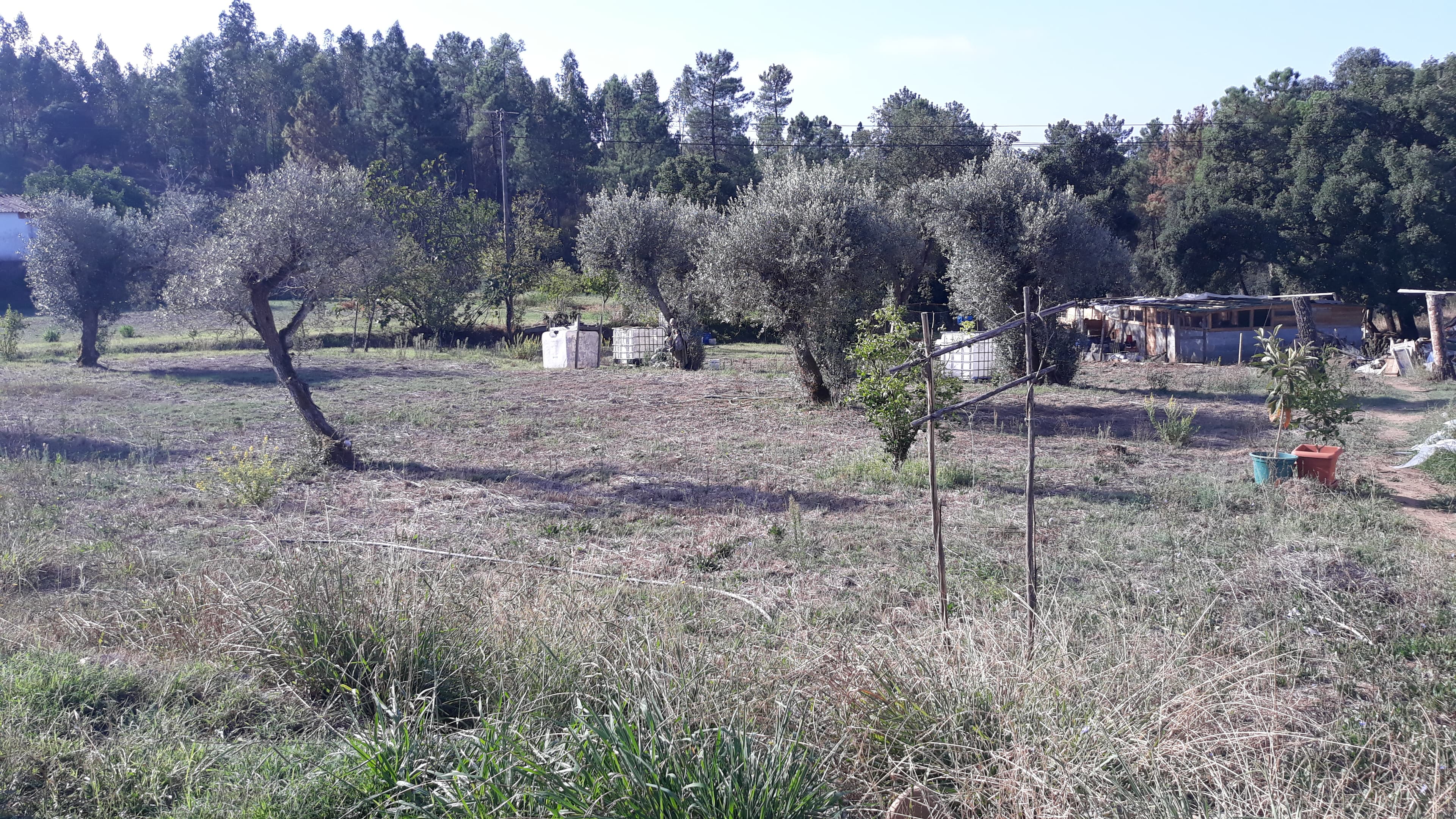 Terreno · Tomar