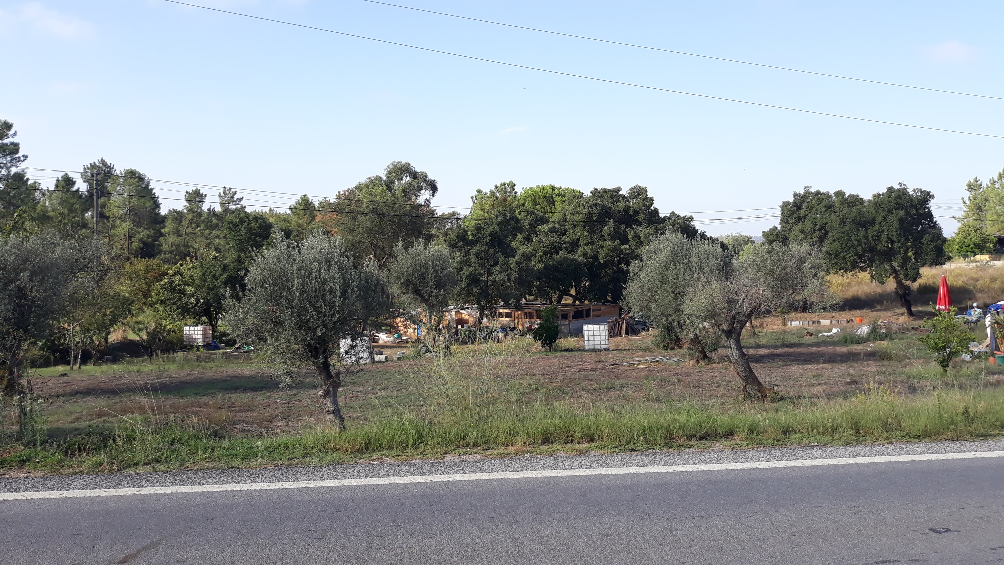 Terreno · Tomar — imagen 3