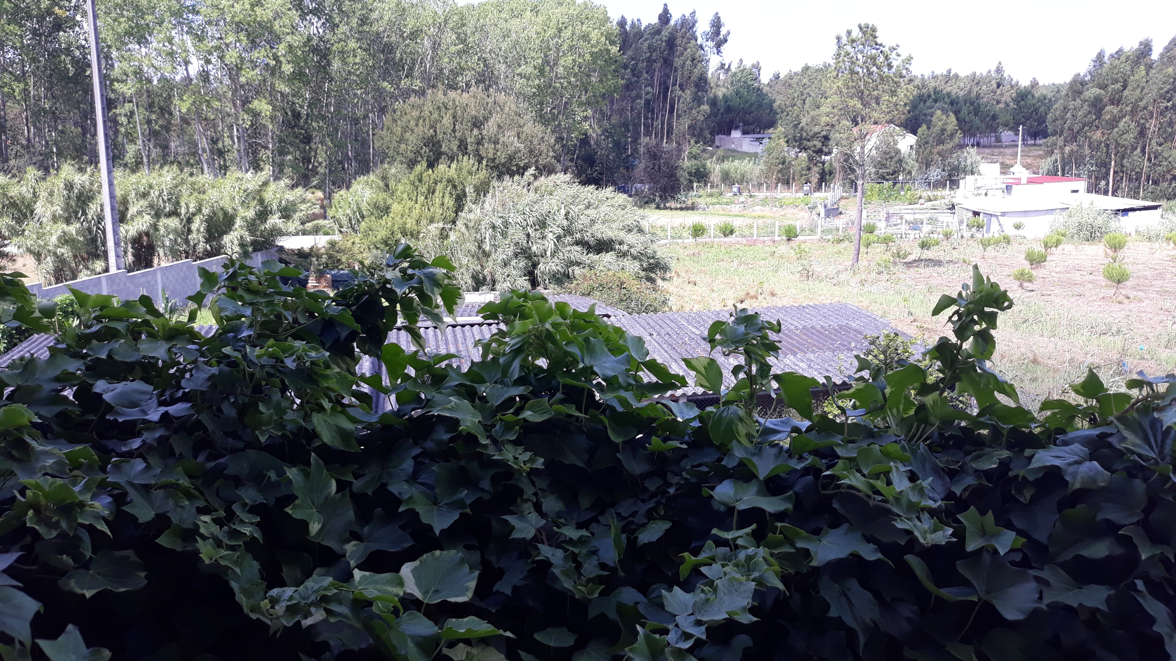Apartamento T3 · Marinha Grande — image 16