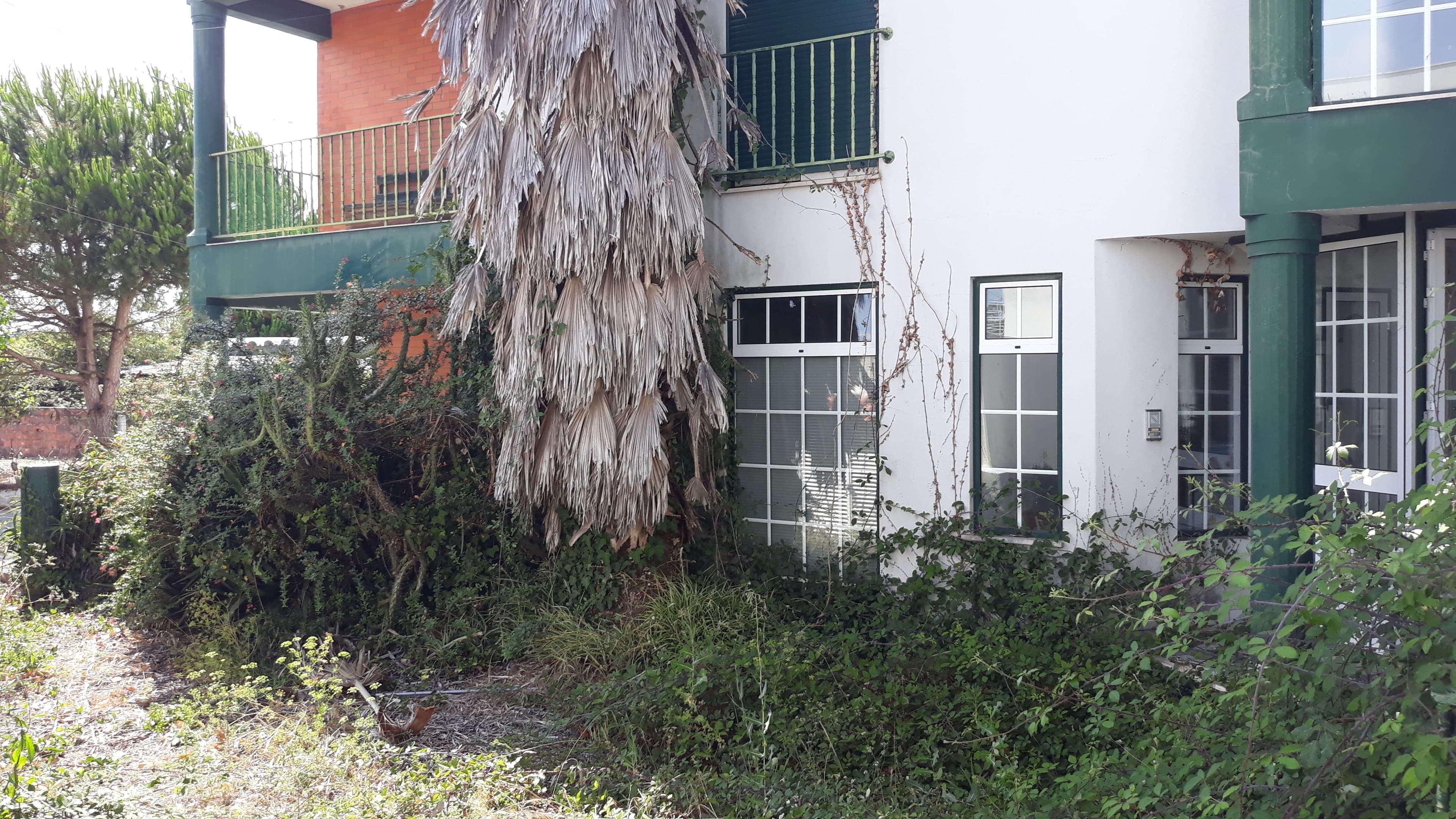 Apartamento T3 · Marinha Grande — image 3