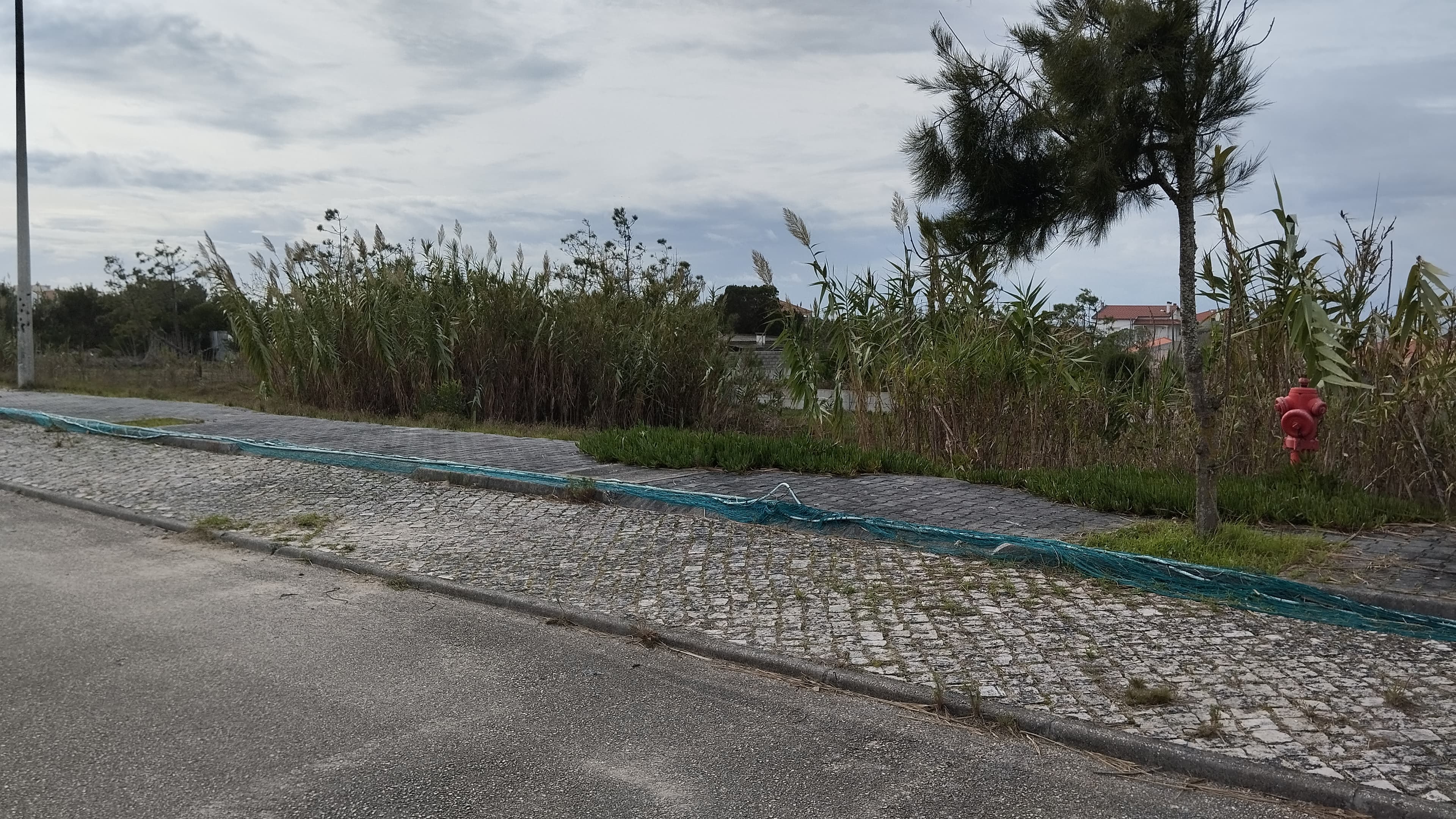 Lote para Construção · Praia do Pedrógão, Leiria — imagen 5