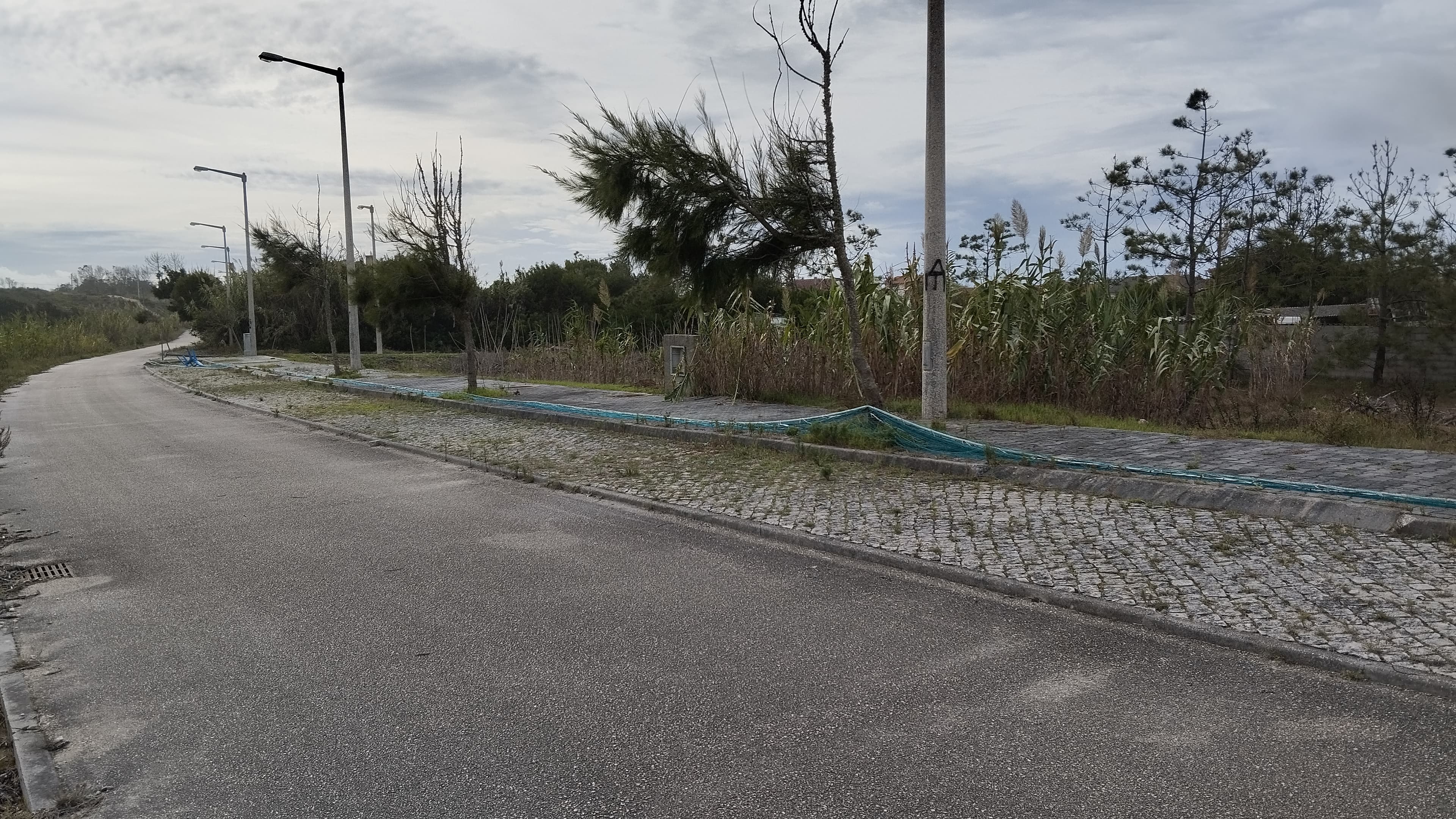 Lote para Construção · Praia do Pedrógão, Leiria — imagen 1