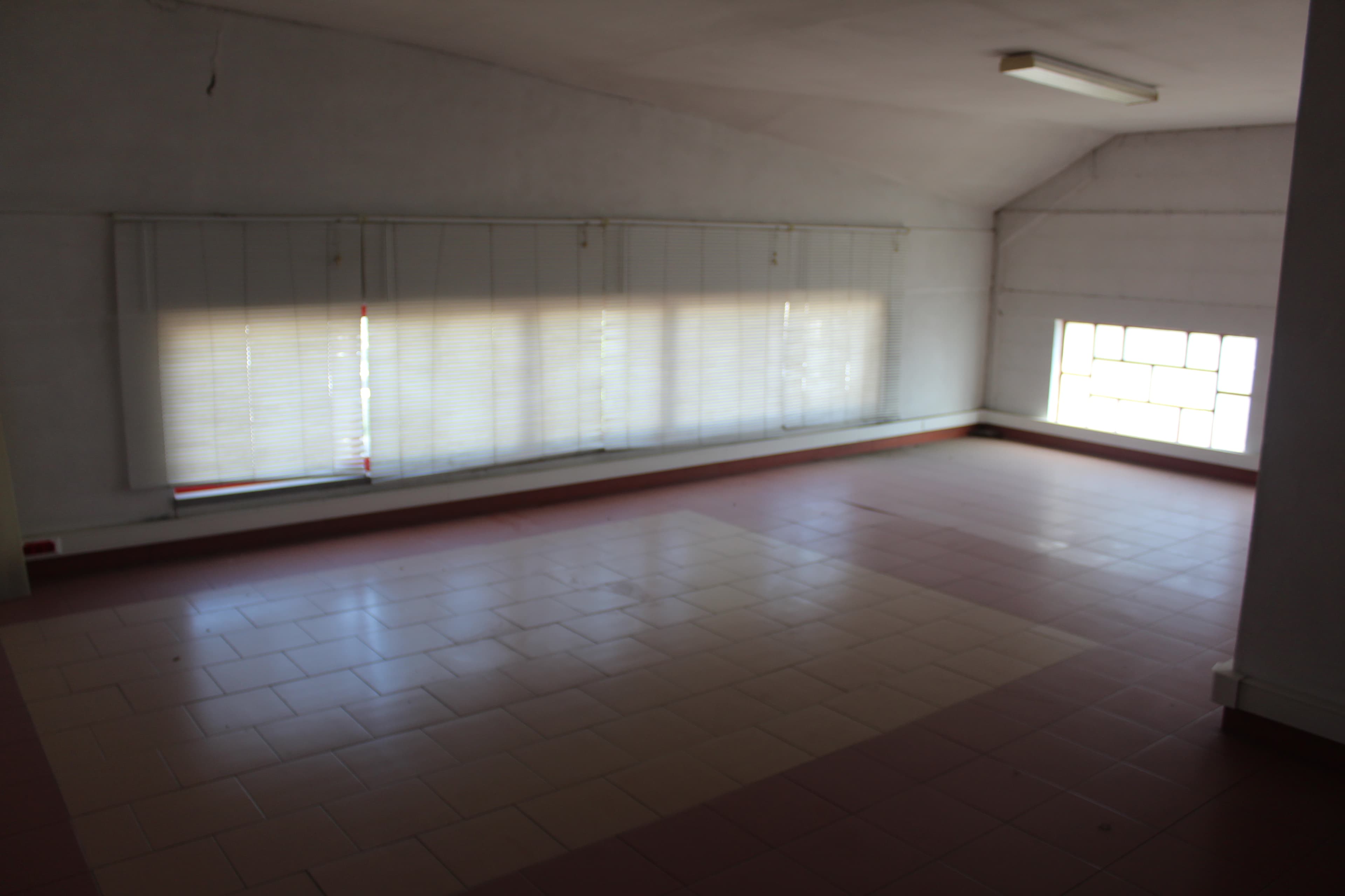 Armazém Comercial · Zona Industrial de Santarém — imagen 24