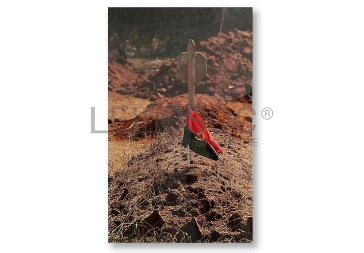 Totalidade dos Lotes — imagen 30