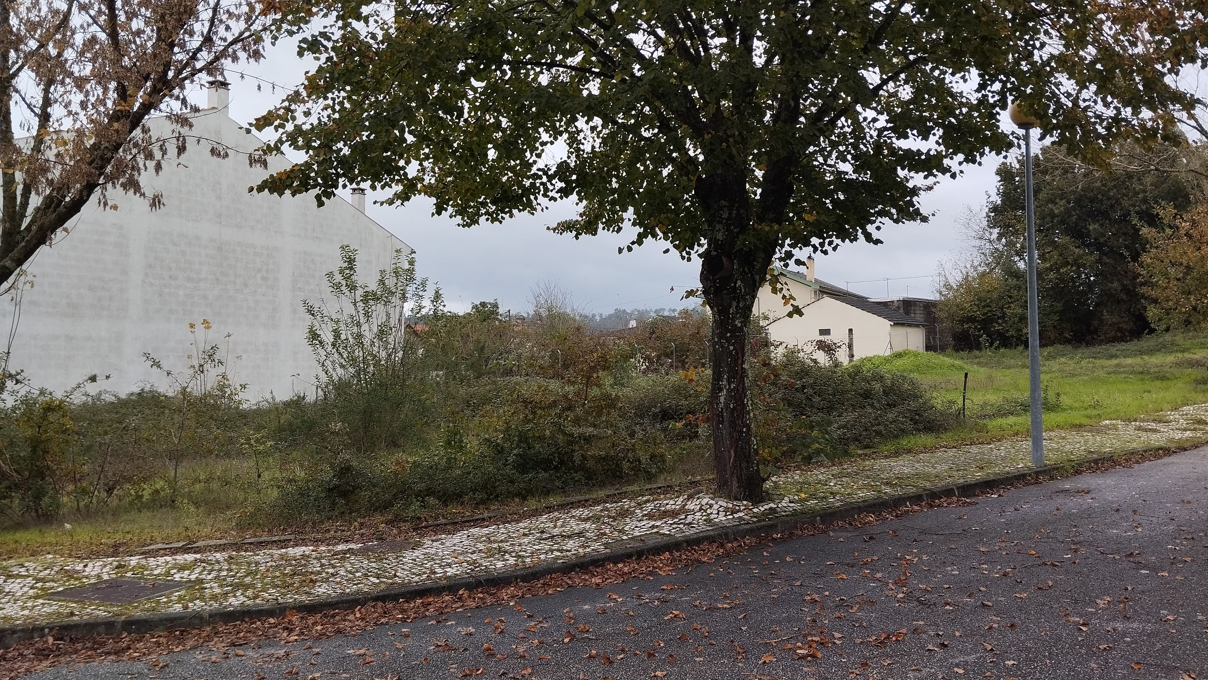 Lote para Construção de Bloco Habitacional  · Viseu — imagen 3