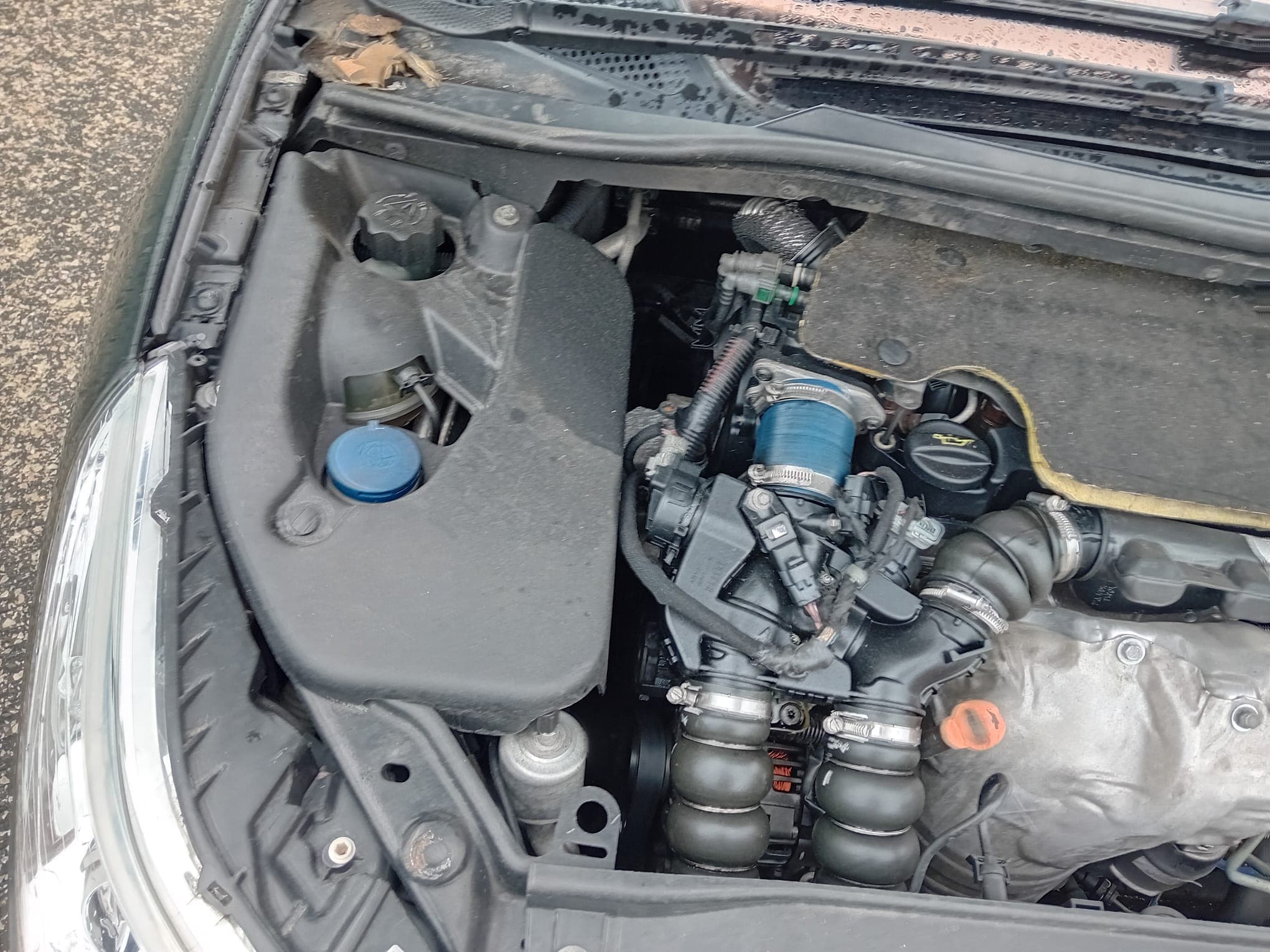 Citroën C4 · Ano 2008 — imagen 10