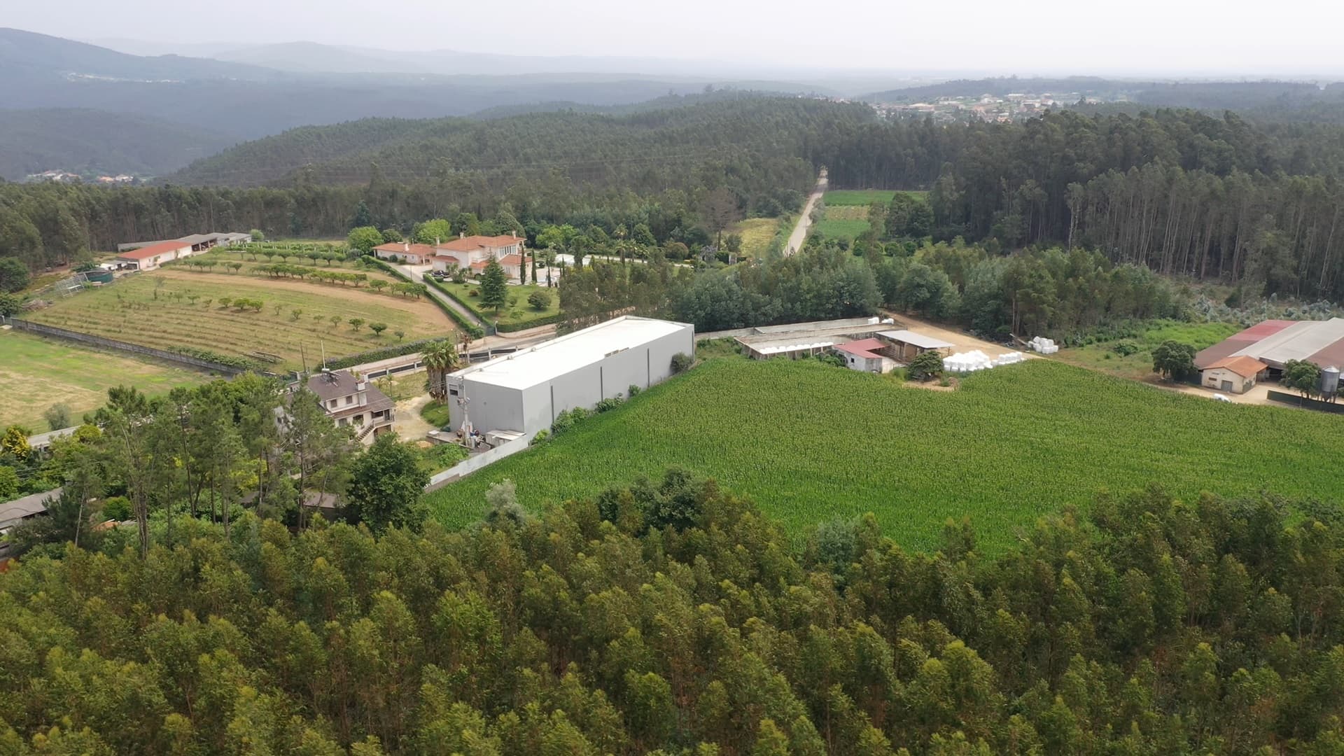 Armazém Industrial · Águeda — image 7