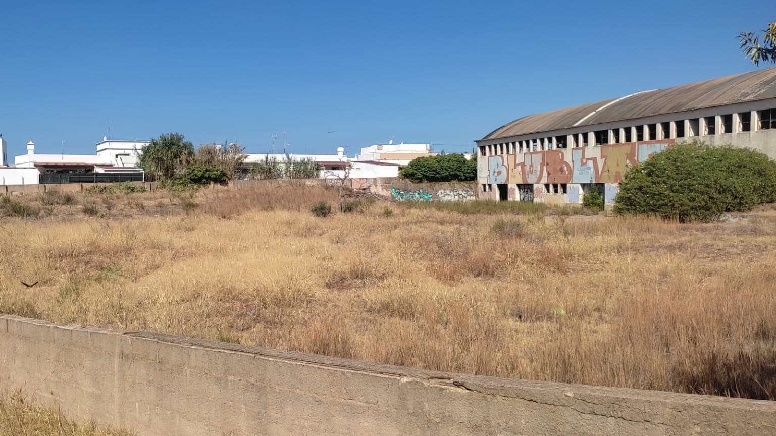 Terreno c/ + 9.000m² · Olhão — imagem 16