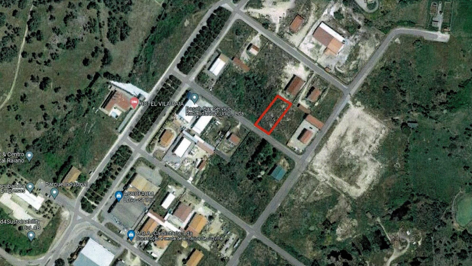 Lote para Construção · Idanha-a-Nova, Castelo Branco — image 8