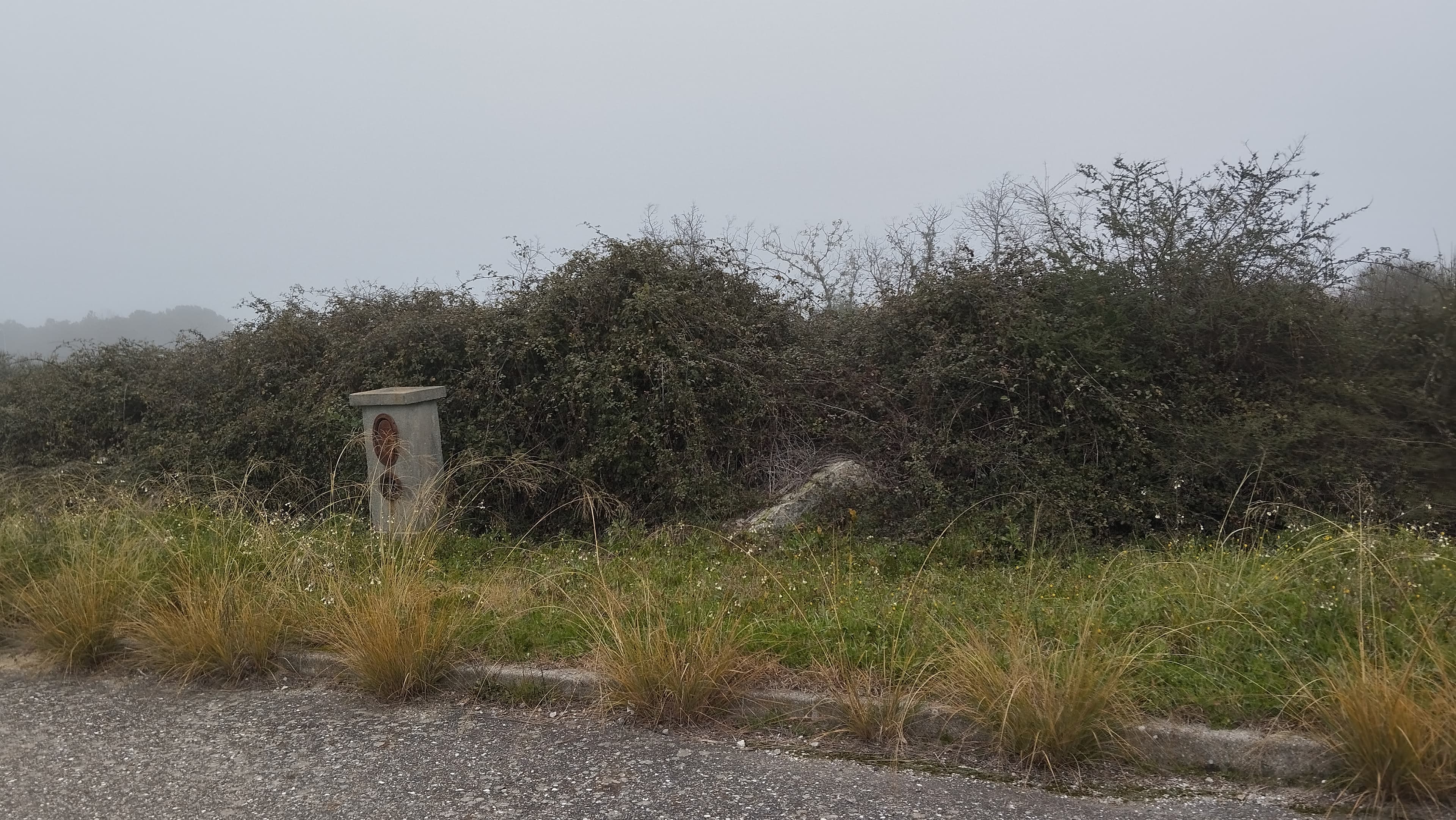 Lote para Construção · Idanha-a-Nova, Castelo Branco — image 2