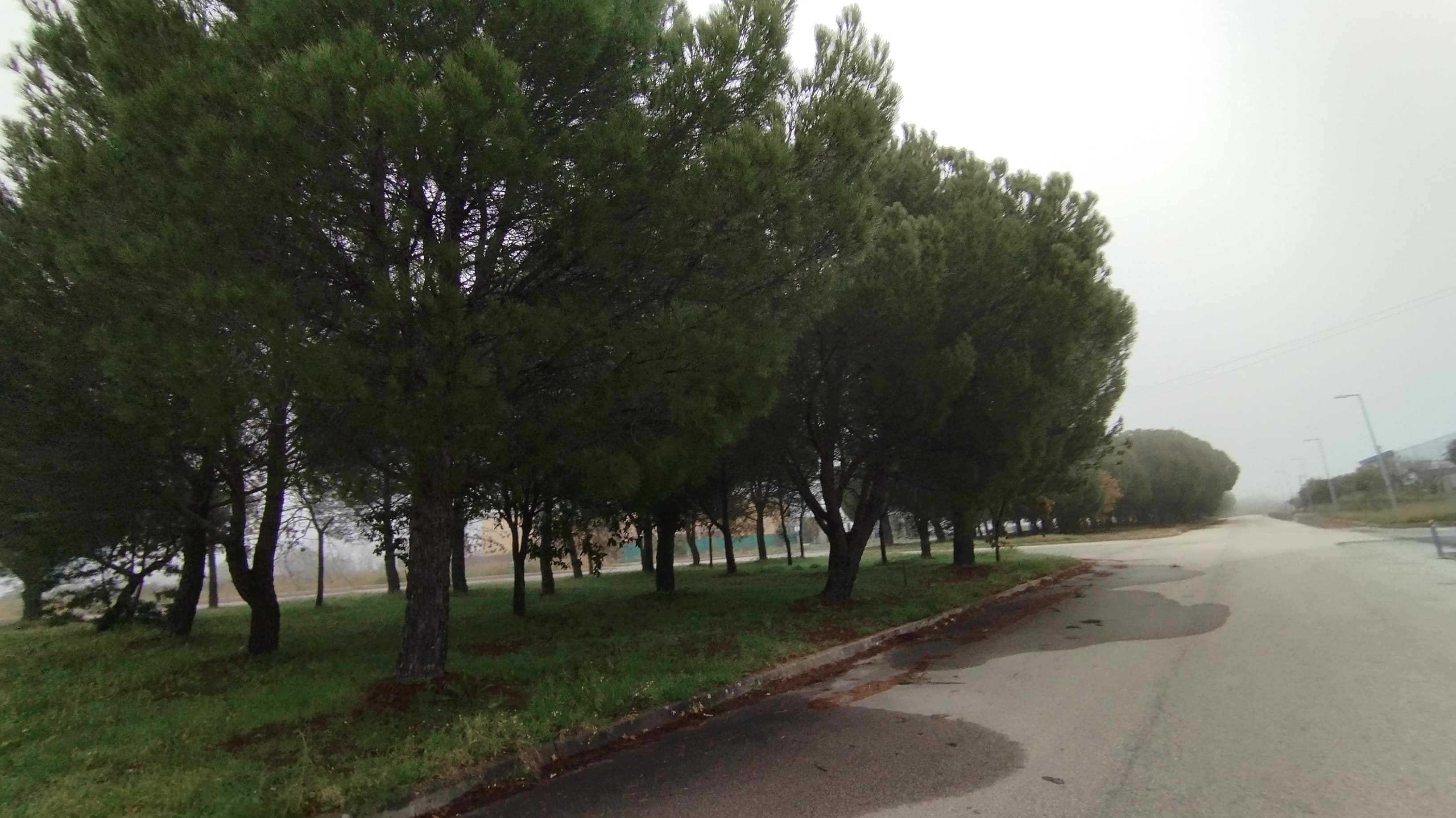 Lote para Construção · Idanha-a-Nova, Castelo Branco — image 6