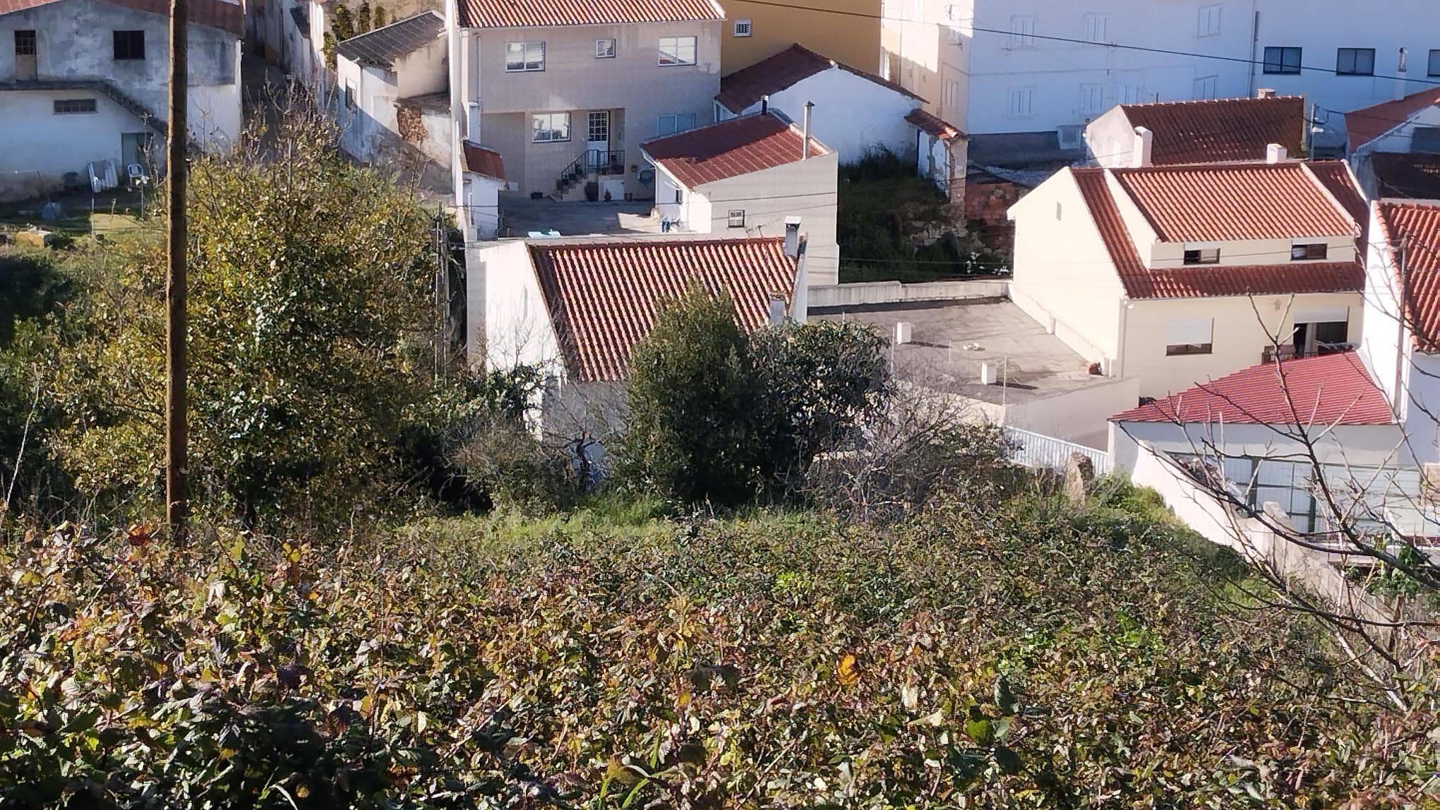 Moradia (Terreno c/ Benfeitoria) · Alcobaça — imagem 9