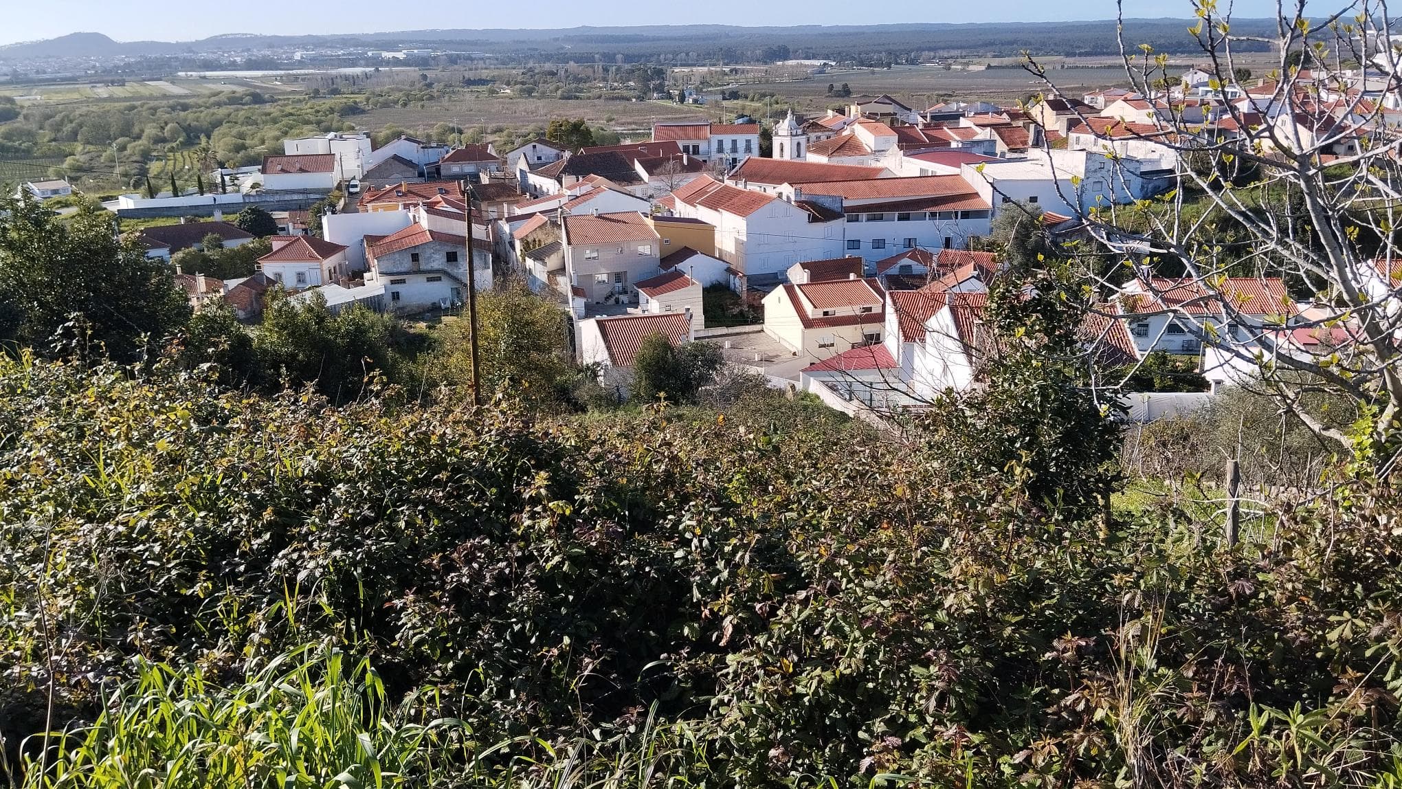Moradia (Terreno c/ Benfeitoria) · Alcobaça — imagem 10