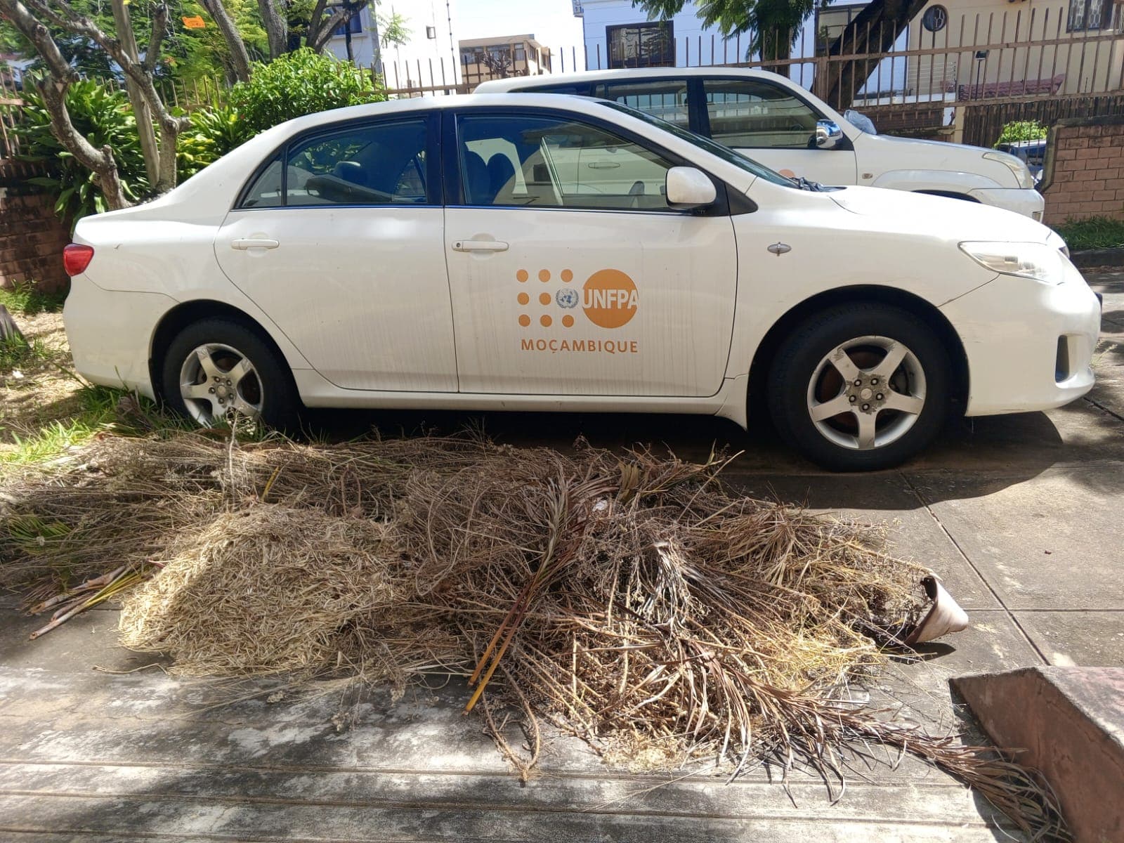 Toyota Corolla · Ano 2012 — imagem 2