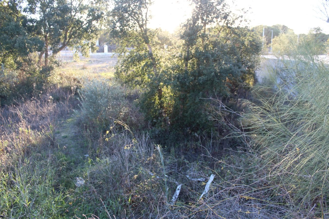 Lote para Construção · Setúbal — imagen 6