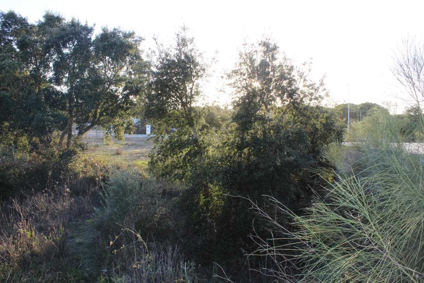 Lote para Construção · Setúbal — imagen 8