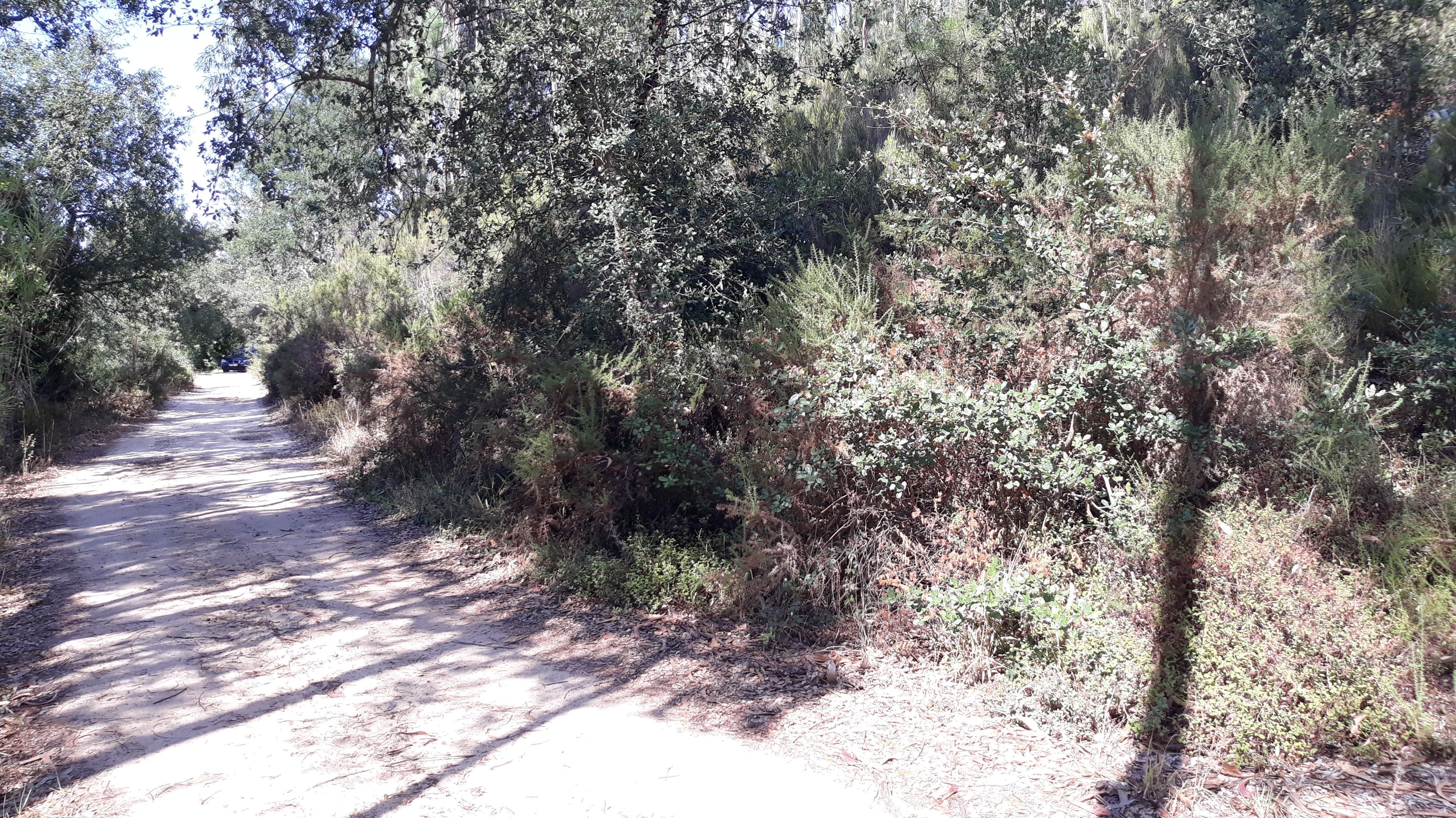 Terreno · Marinha Grande — imagen 1